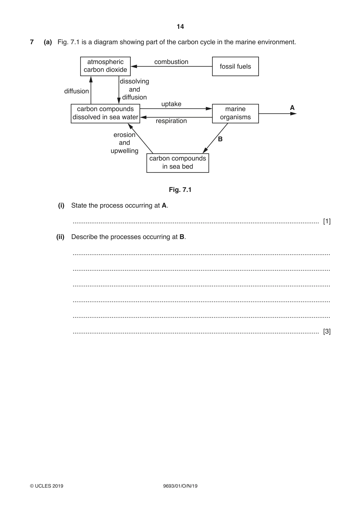 Cambridge A Level Marine Science 9693 2019 Oct/Nov Paper 1 · Variant 0 question paper, page 14 of 20