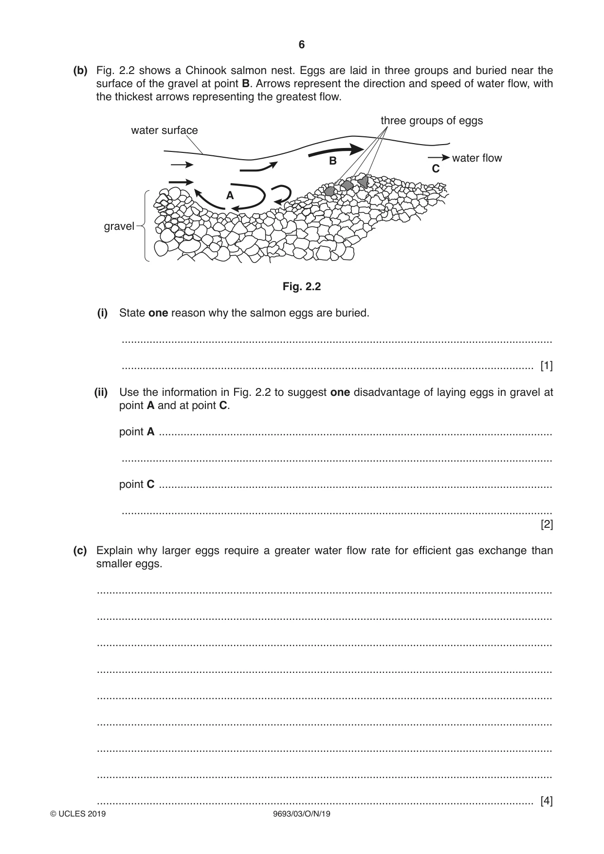 Cambridge A Level Marine Science 9693 2019 Oct/Nov Paper 3 · Variant 0 question paper, page 6 of 20
