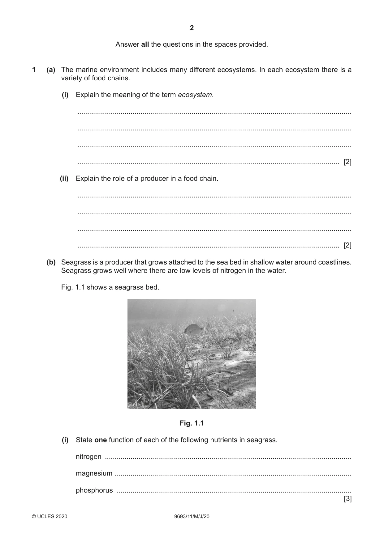Cambridge A Level Marine Science 9693 2020 May/June Paper 1 · Variant 1 question paper, page 2 of 16