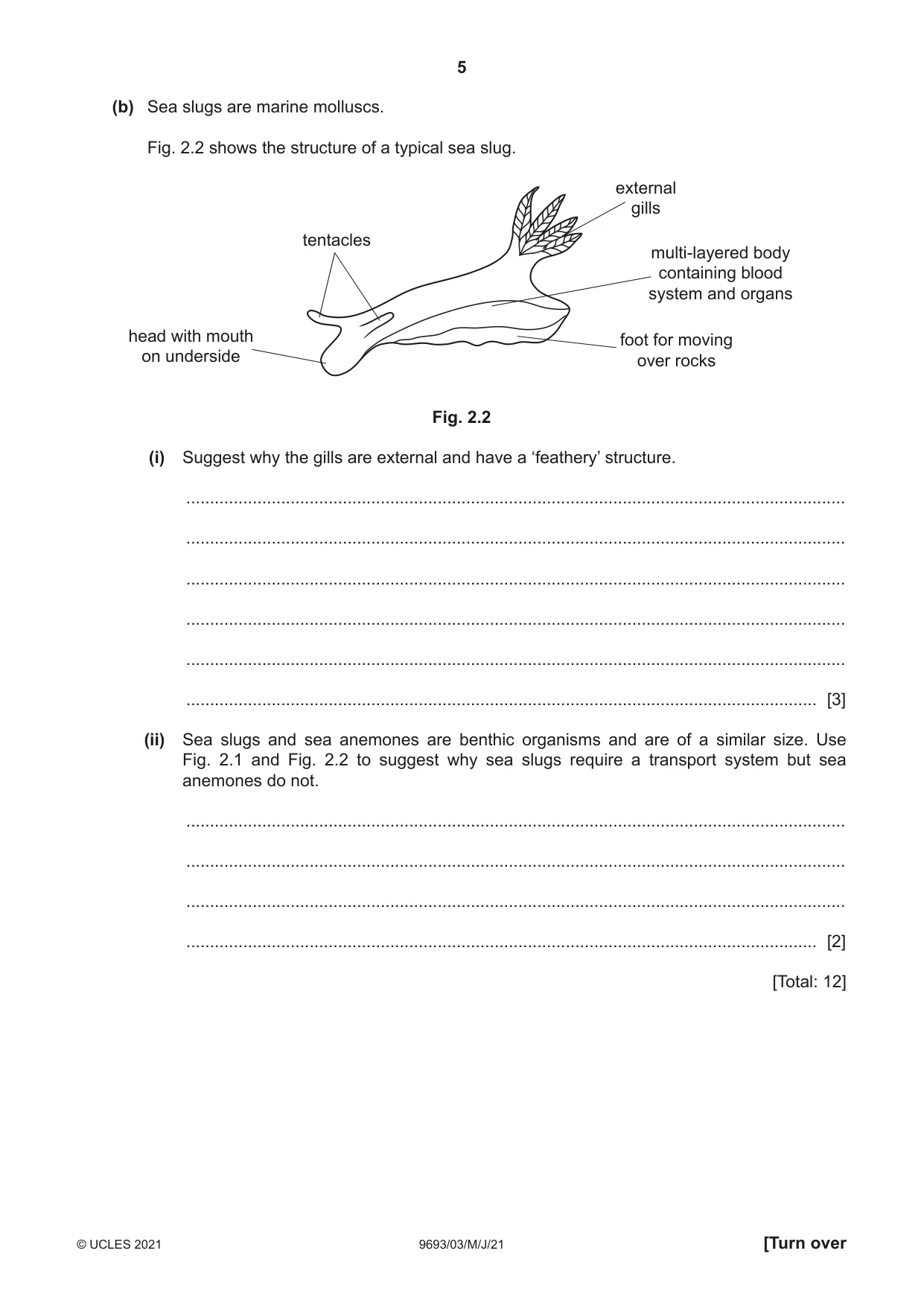 Cambridge A Level Marine Science 9693 2021 May/June Paper 3 · Variant 0 question paper, page 5 of 20