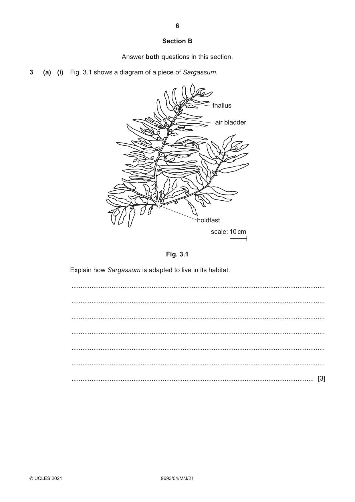 Cambridge A Level Marine Science 9693 2021 May/June Paper 4 · Variant 0 question paper, page 6 of 12