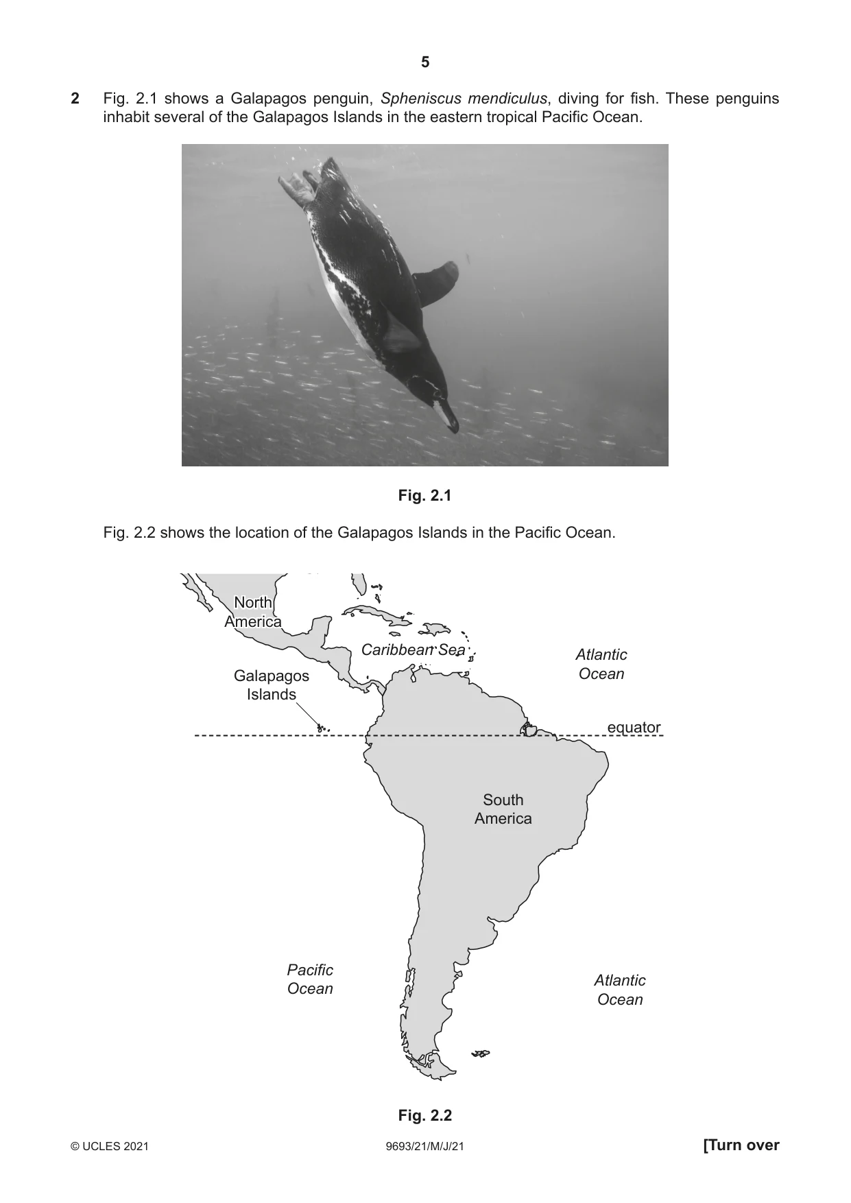 Cambridge A Level Marine Science 9693 2021 May/June Paper 2 · Variant 1 question paper, page 5 of 12