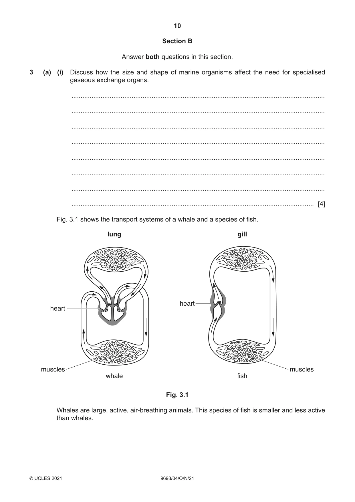 Cambridge A Level Marine Science 9693 2021 Oct/Nov Paper 4 · Variant 0 question paper, page 10 of 16