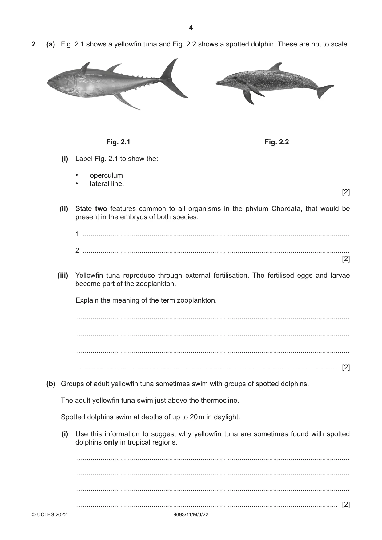 Cambridge A Level Marine Science 9693 2022 May/June Paper 1 · Variant 1 question paper, page 4 of 16