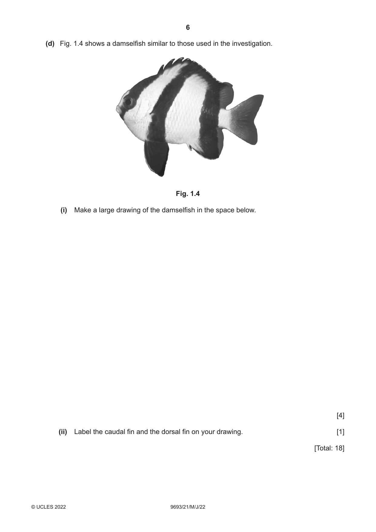Cambridge A Level Marine Science 9693 2022 May/June Paper 2 · Variant 1 question paper, page 6 of 24