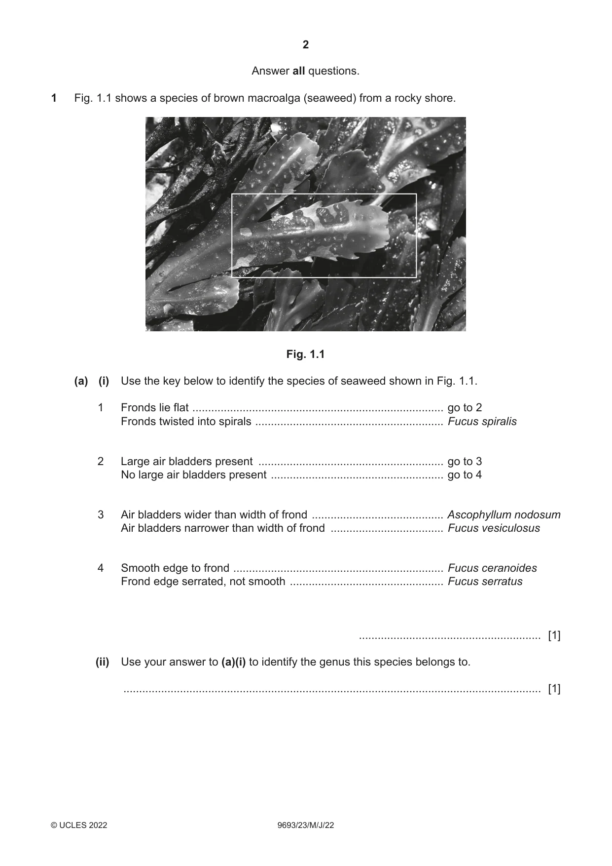 Cambridge A Level Marine Science 9693 2022 May/June Paper 2 · Variant 3 question paper, page 2 of 24