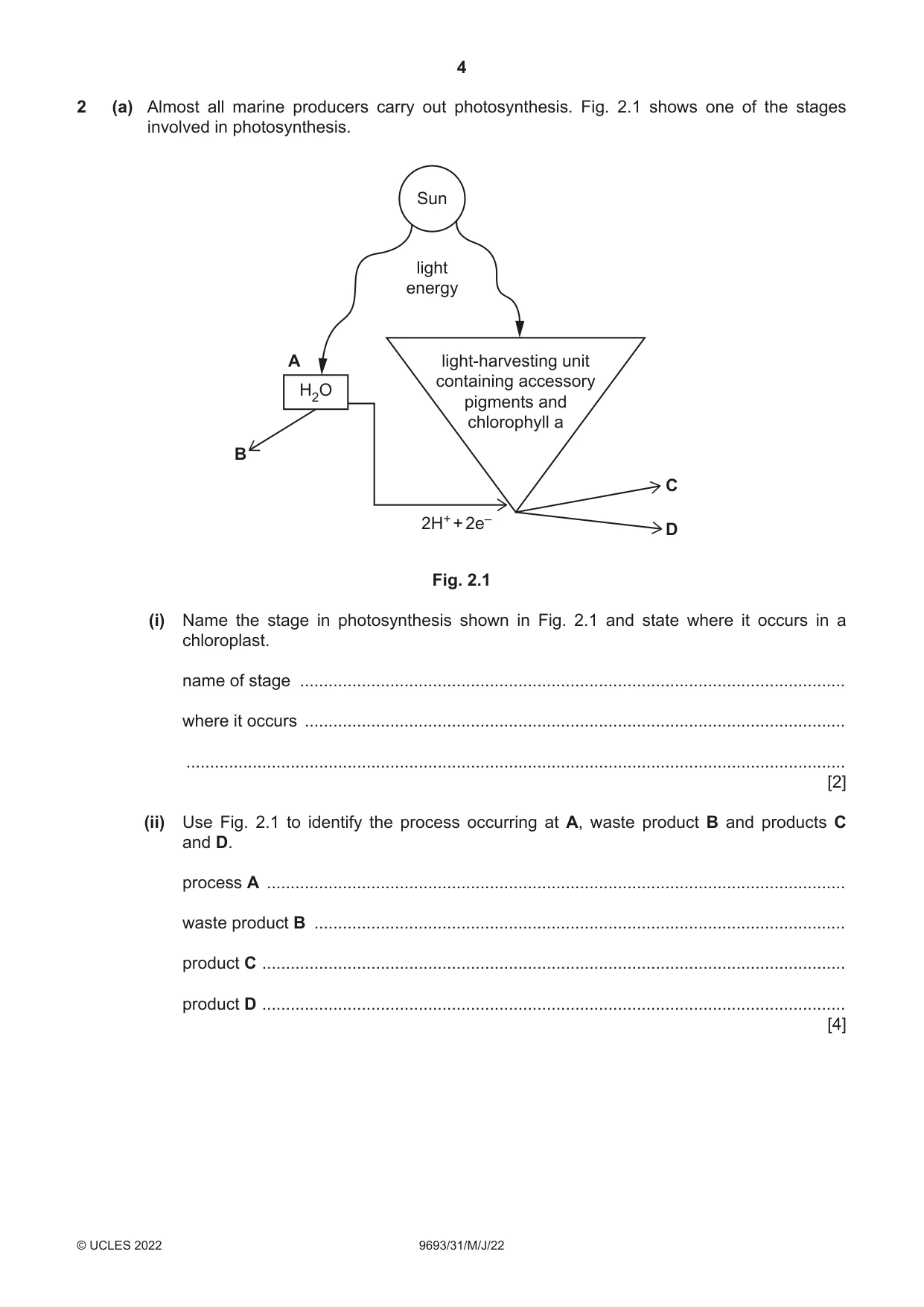 Cambridge A Level Marine Science 9693 2022 May/June Paper 3 · Variant 1 question paper, page 4 of 16