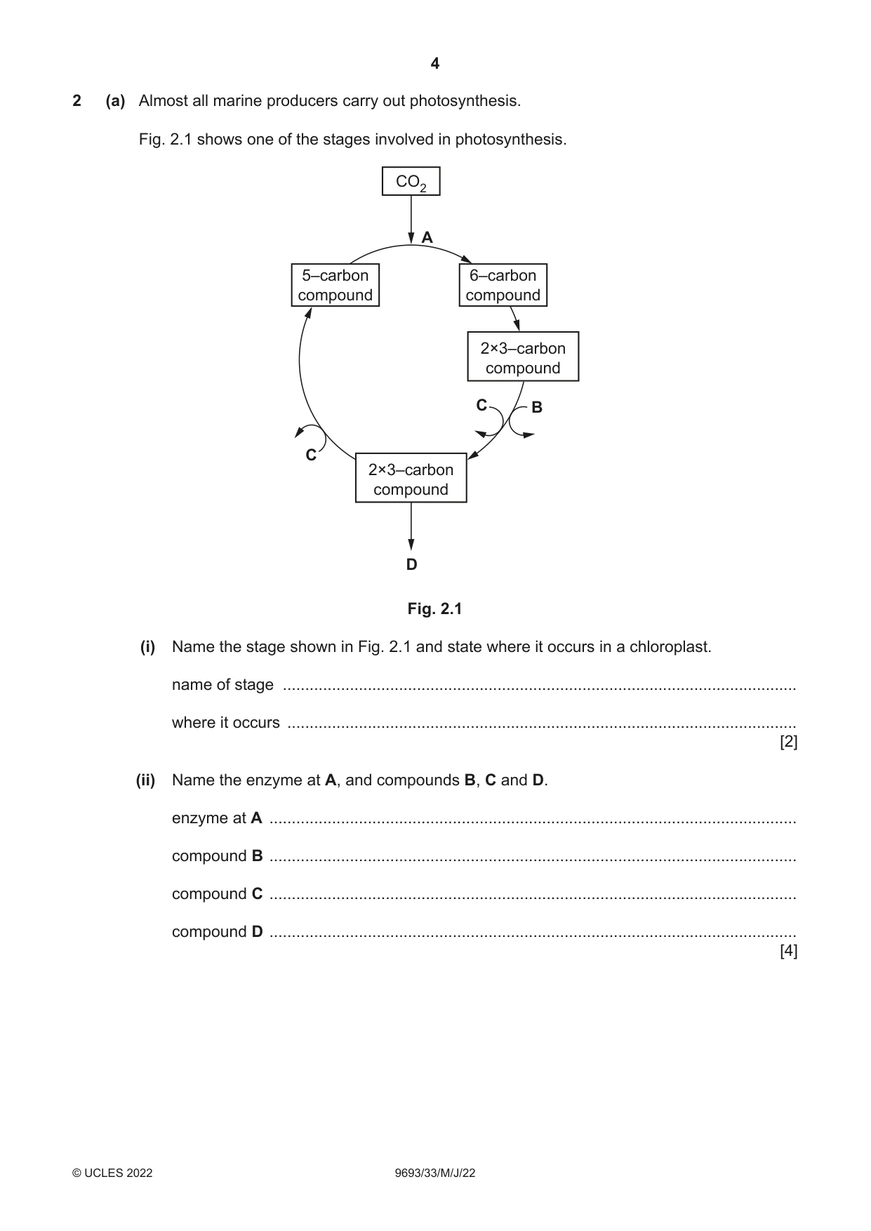 Cambridge A Level Marine Science 9693 2022 May/June Paper 3 · Variant 3 question paper, page 4 of 16