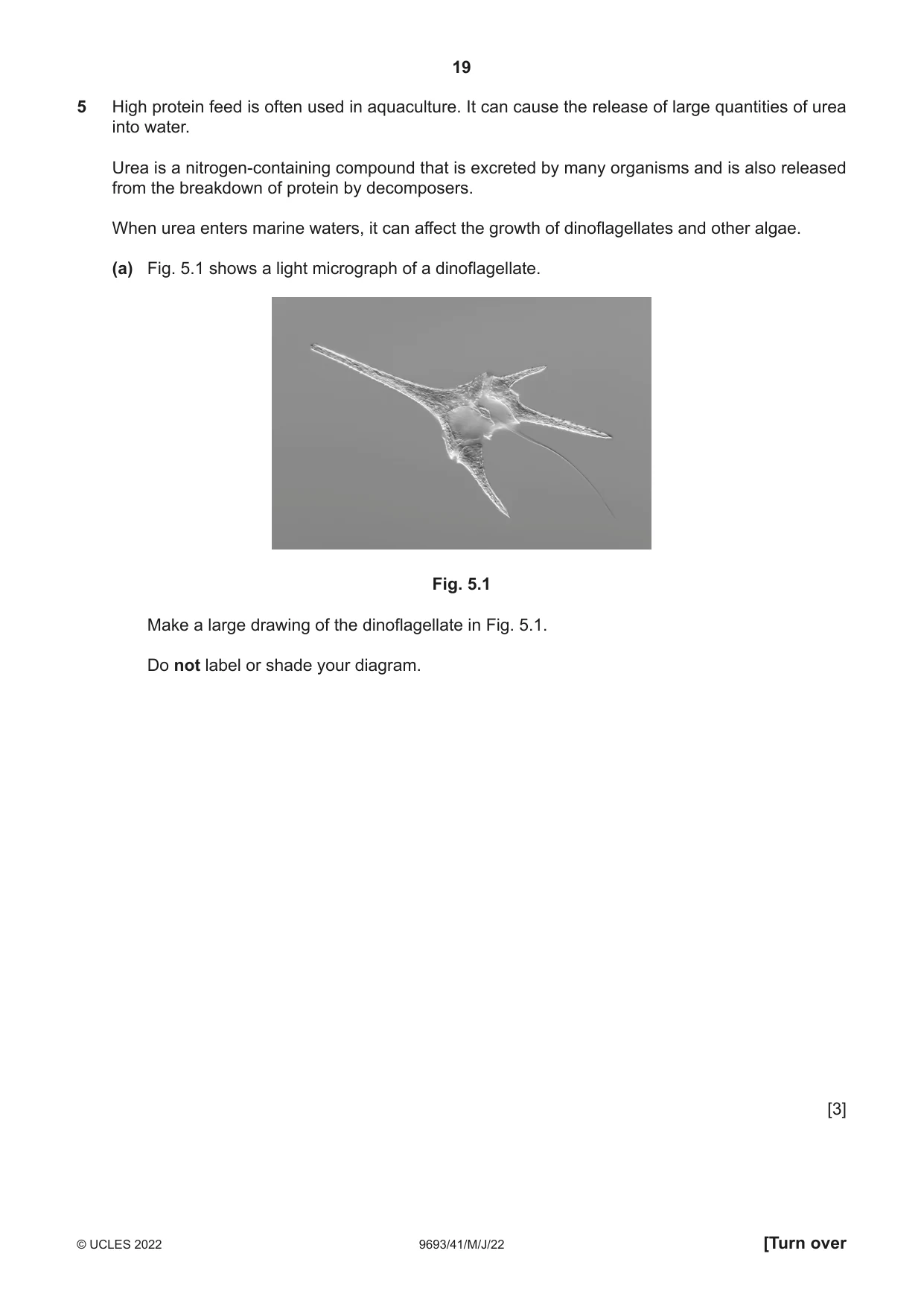 Cambridge A Level Marine Science 9693 2022 May/June Paper 4 · Variant 1 question paper, page 19 of 24