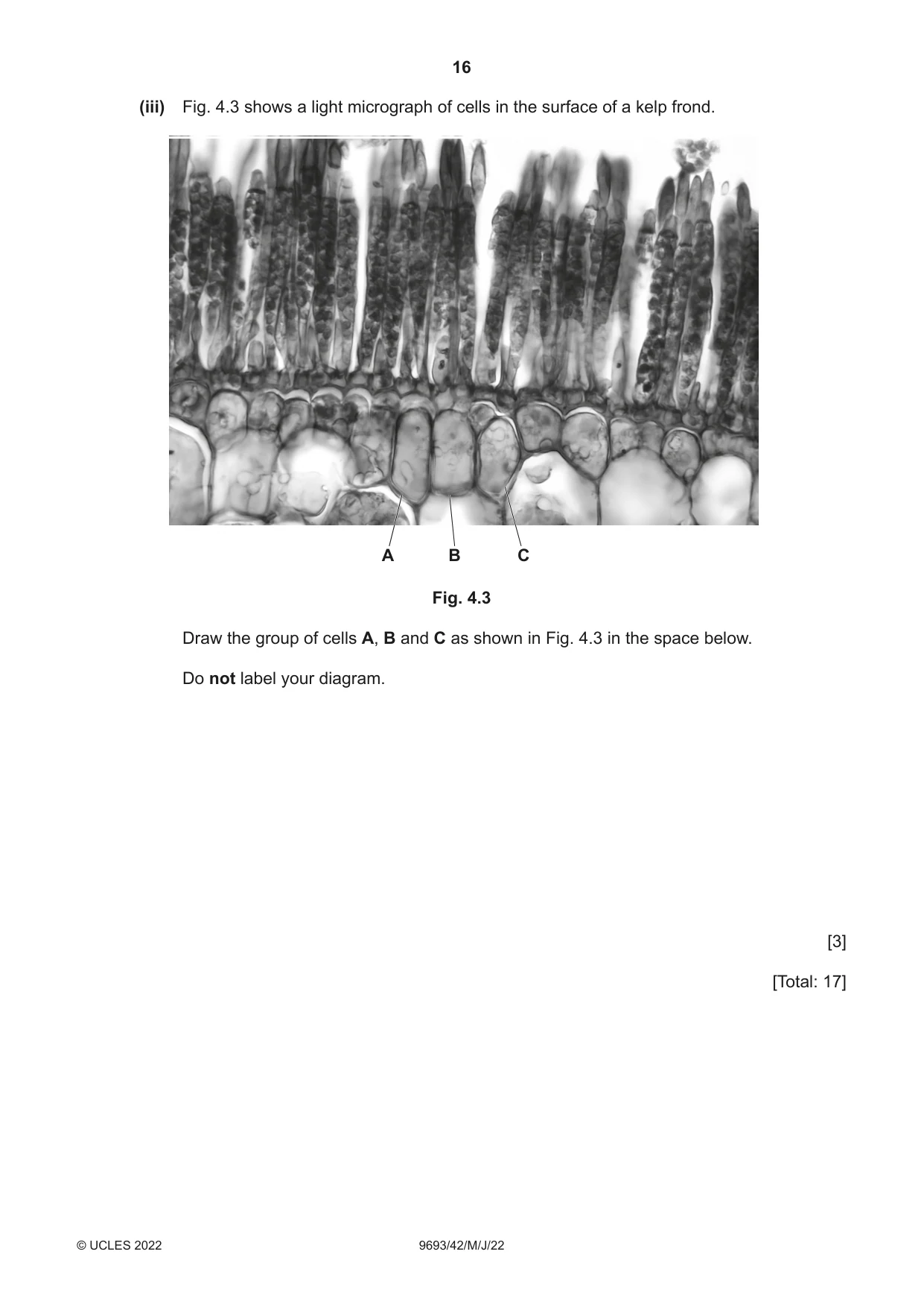 Cambridge A Level Marine Science 9693 2022 May/June Paper 4 · Variant 2 question paper, page 16 of 24