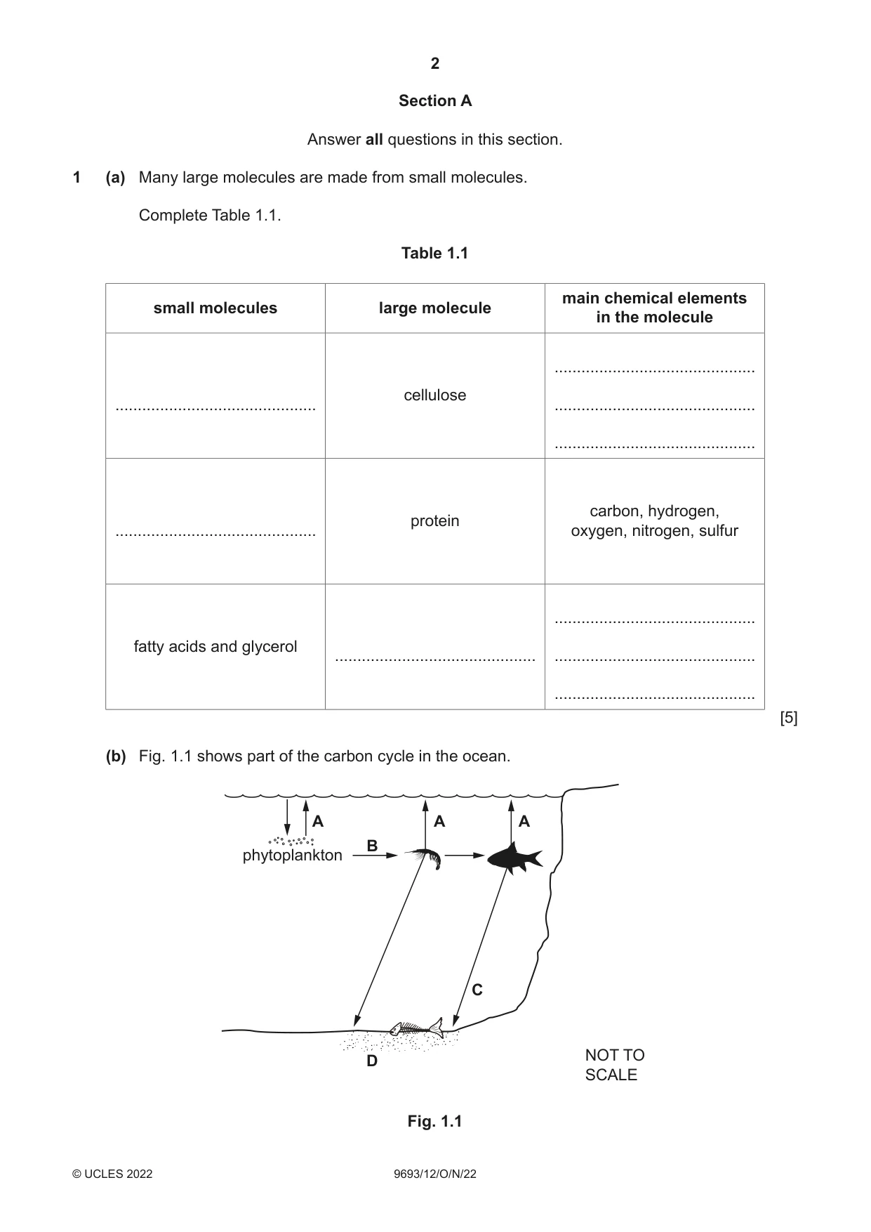 Cambridge A Level Marine Science 9693 2022 Oct/Nov Paper 1 · Variant 2 question paper, page 2 of 12