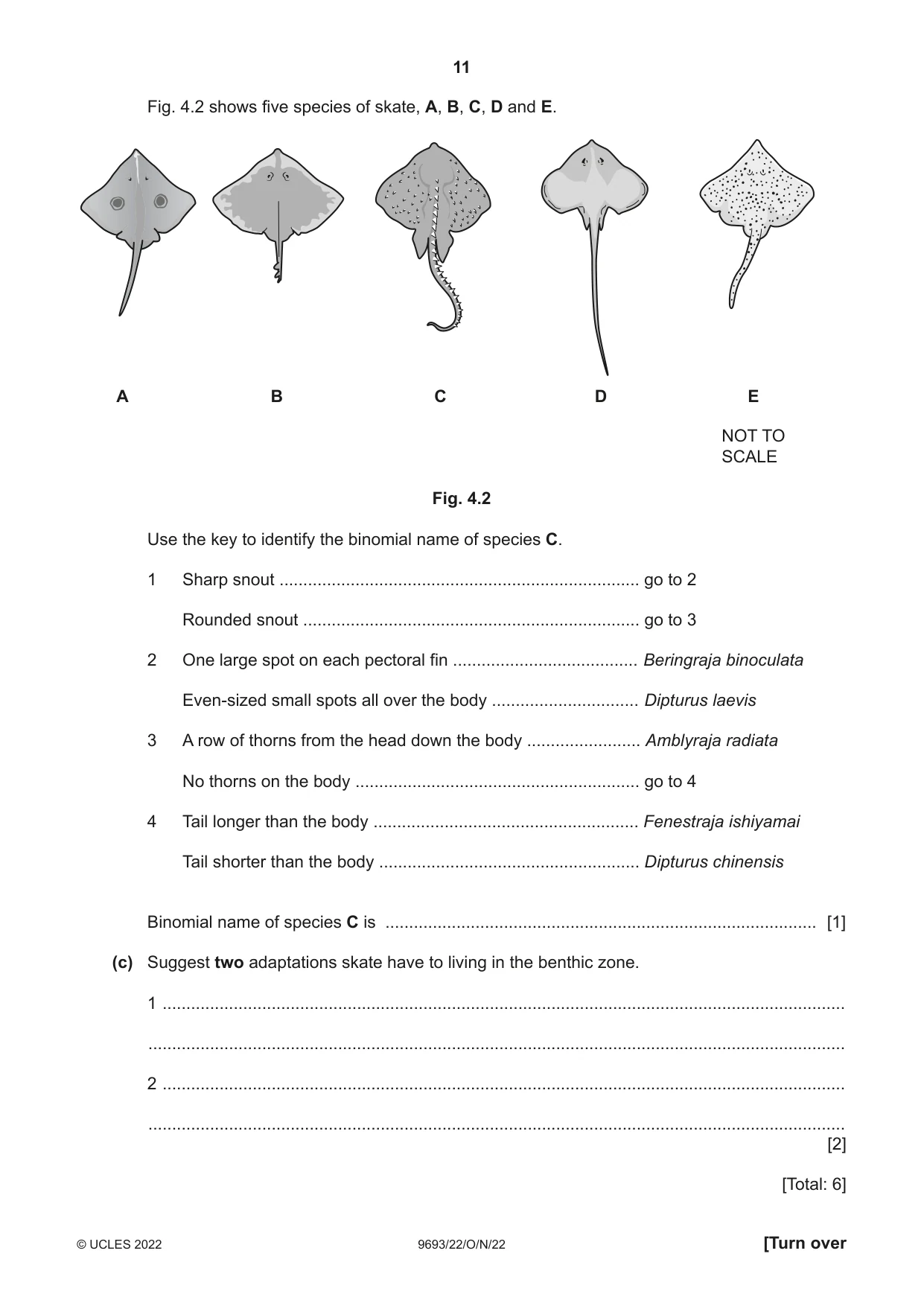 Cambridge A Level Marine Science 9693 2022 Oct/Nov Paper 2 · Variant 2 question paper, page 11 of 16