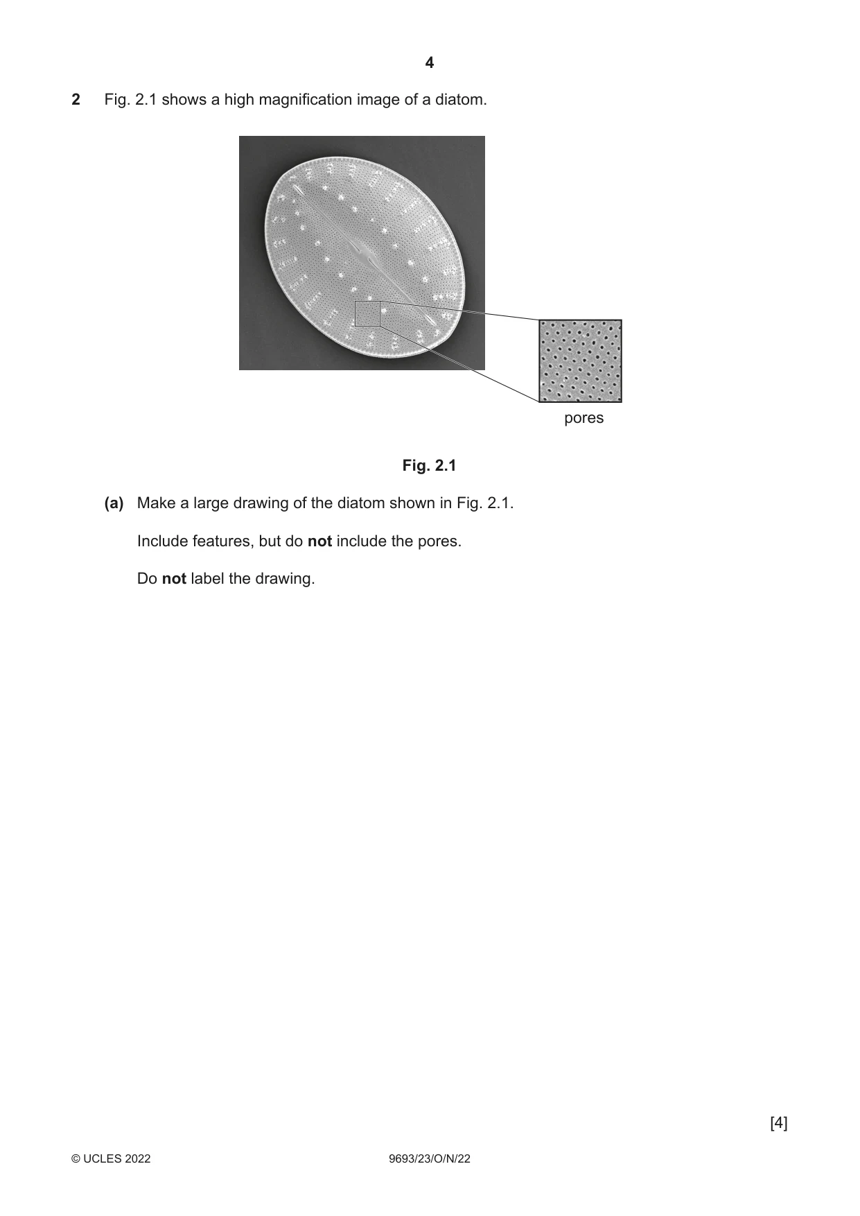 Cambridge A Level Marine Science 9693 2022 Oct/Nov Paper 2 · Variant 3 question paper, page 4 of 16