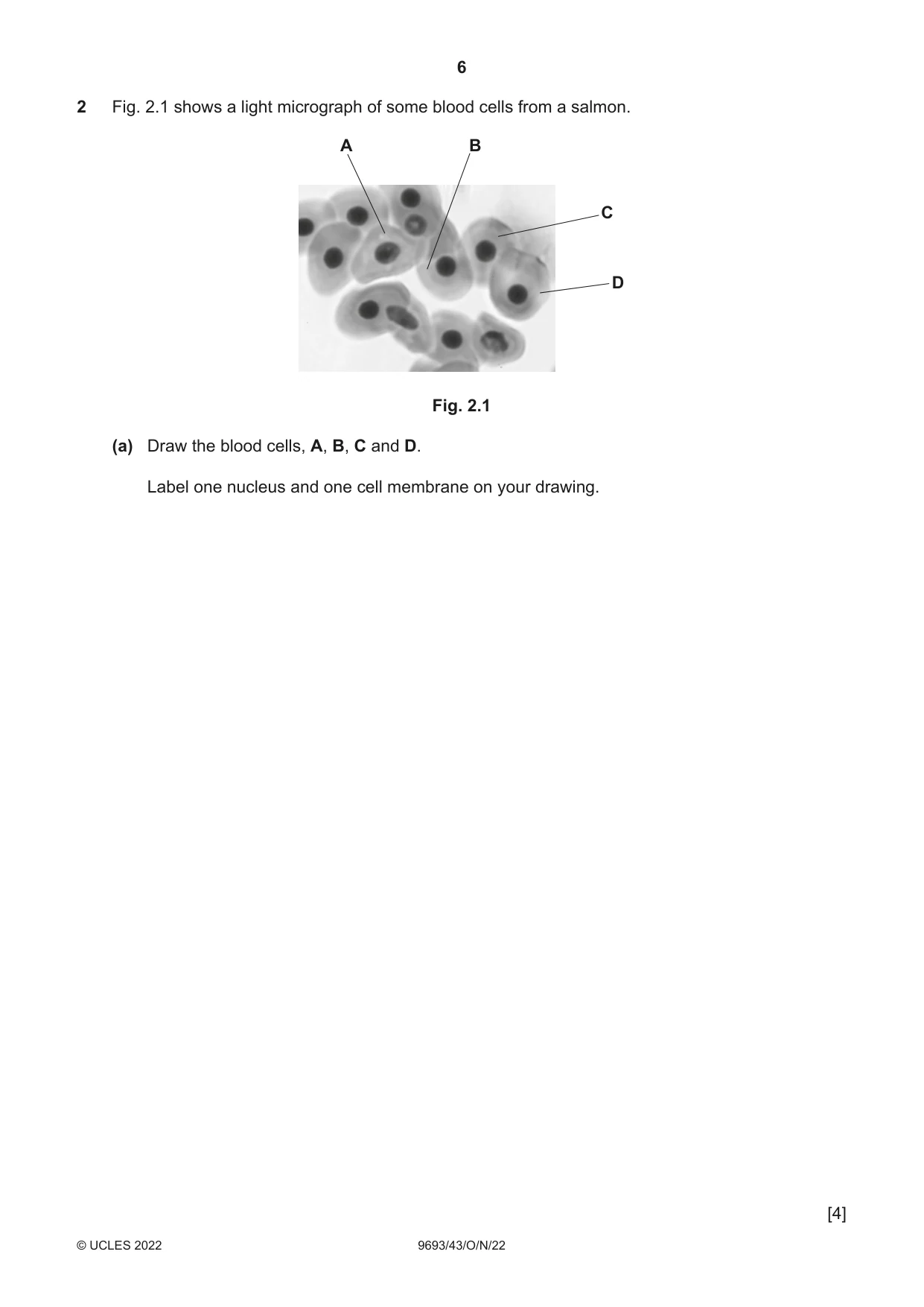 Cambridge A Level Marine Science 9693 2022 Oct/Nov Paper 4 · Variant 3 question paper, page 6 of 20