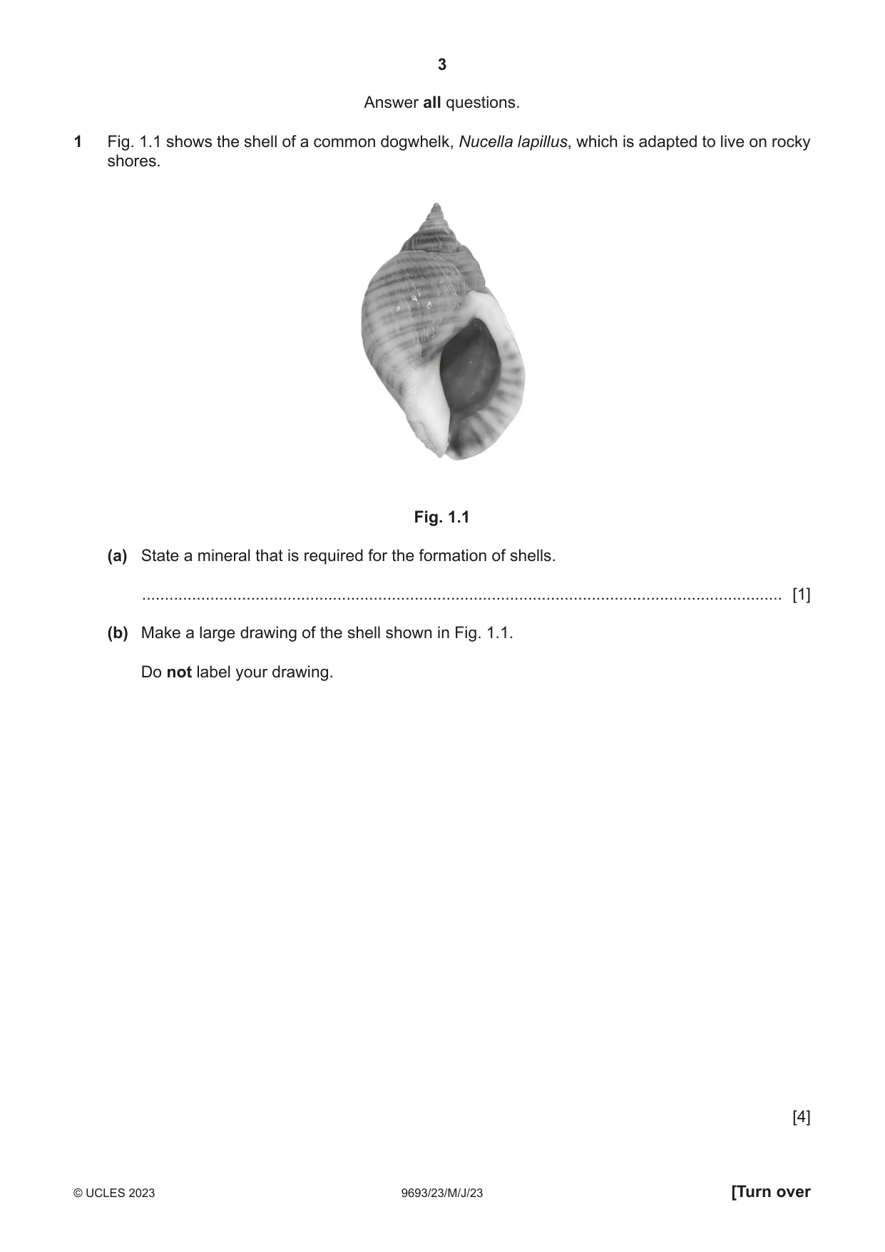 Cambridge A Level Marine Science 9693 2023 May/June Paper 2 · Variant 3 question paper, page 3 of 28