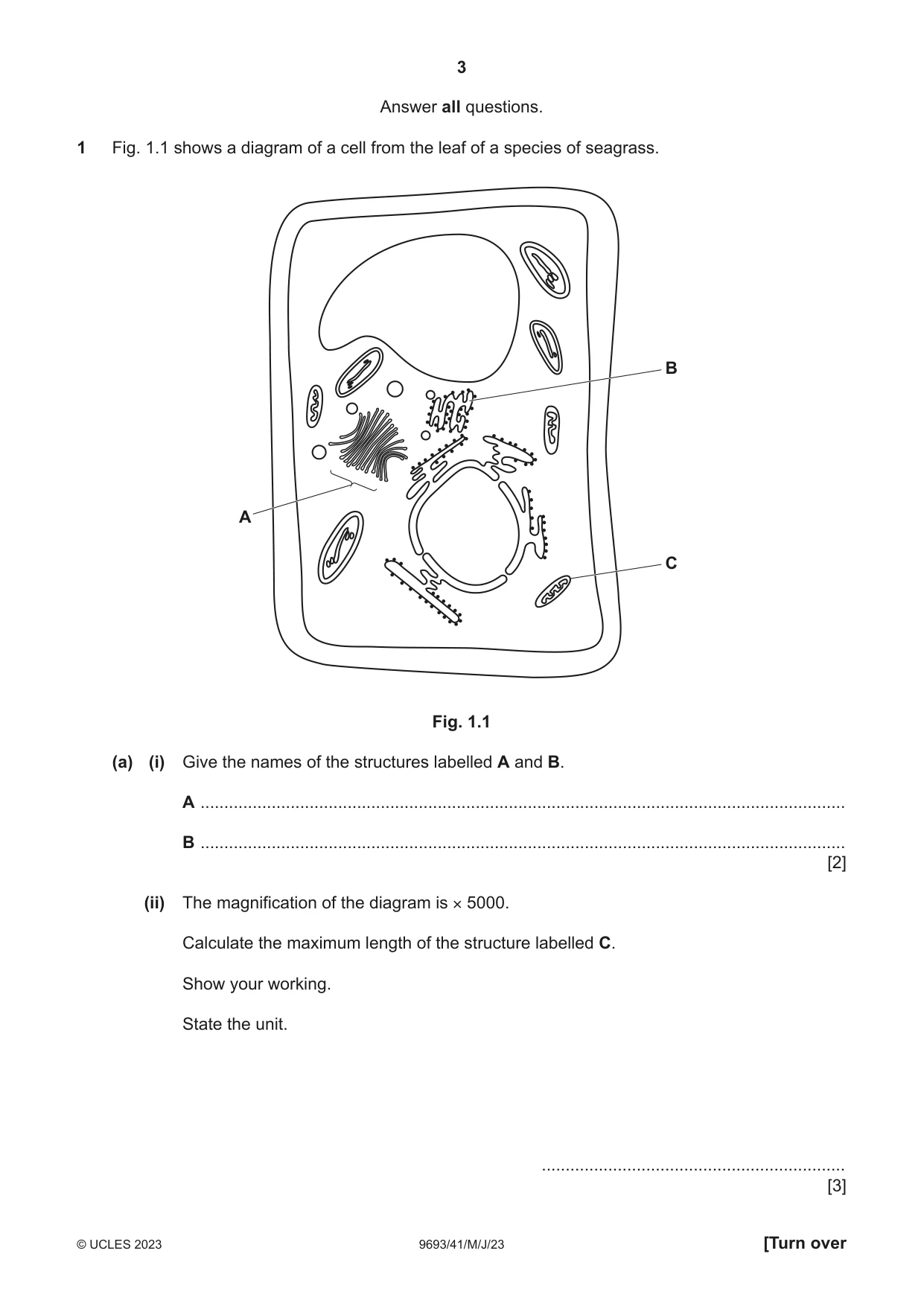 Cambridge A Level Marine Science 9693 2023 May/June Paper 4 · Variant 1 question paper, page 3 of 20