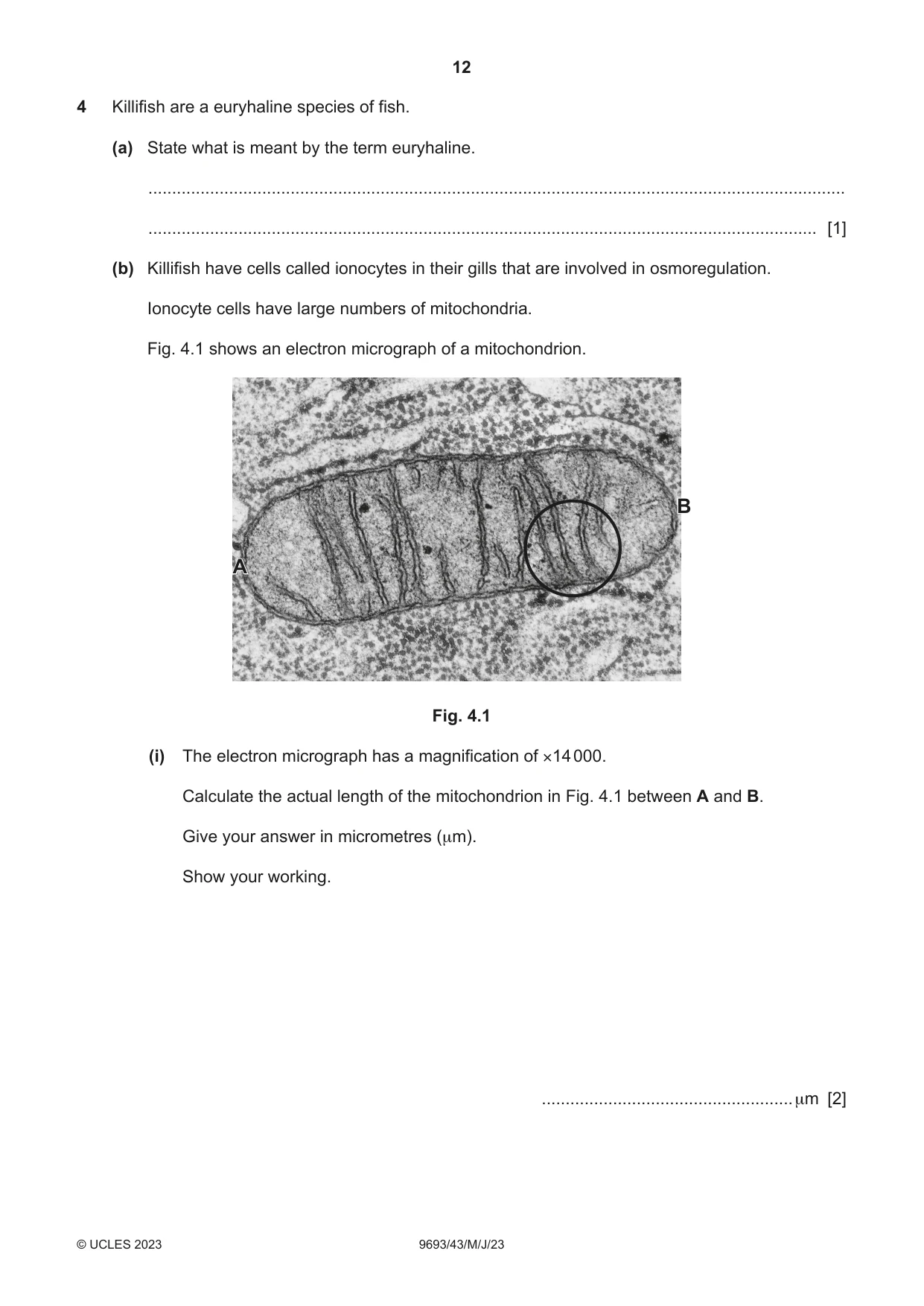 Cambridge A Level Marine Science 9693 2023 May/June Paper 4 · Variant 3 question paper, page 12 of 20