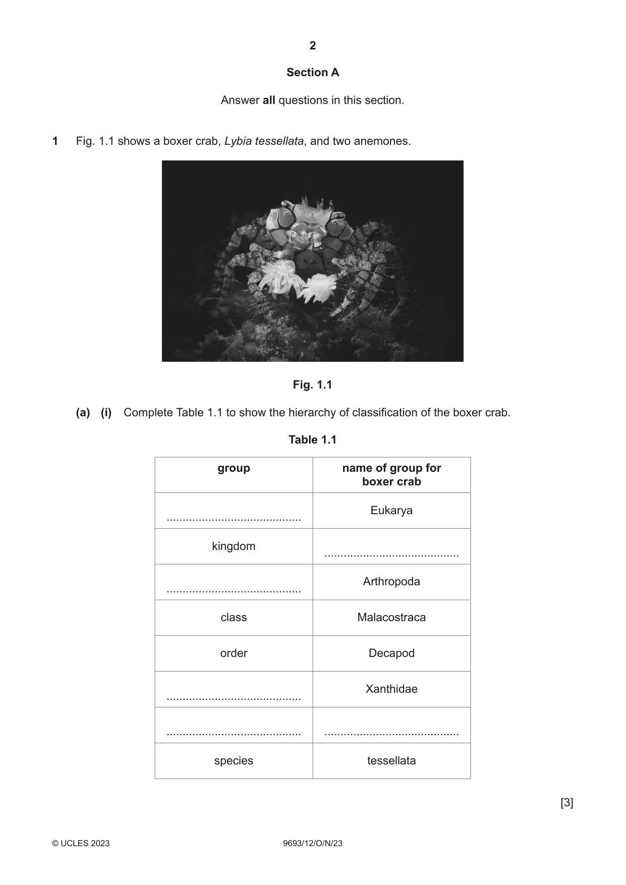 Cambridge A Level Marine Science 9693 2023 Oct/Nov Paper 1 · Variant 2 question paper, page 2 of 16