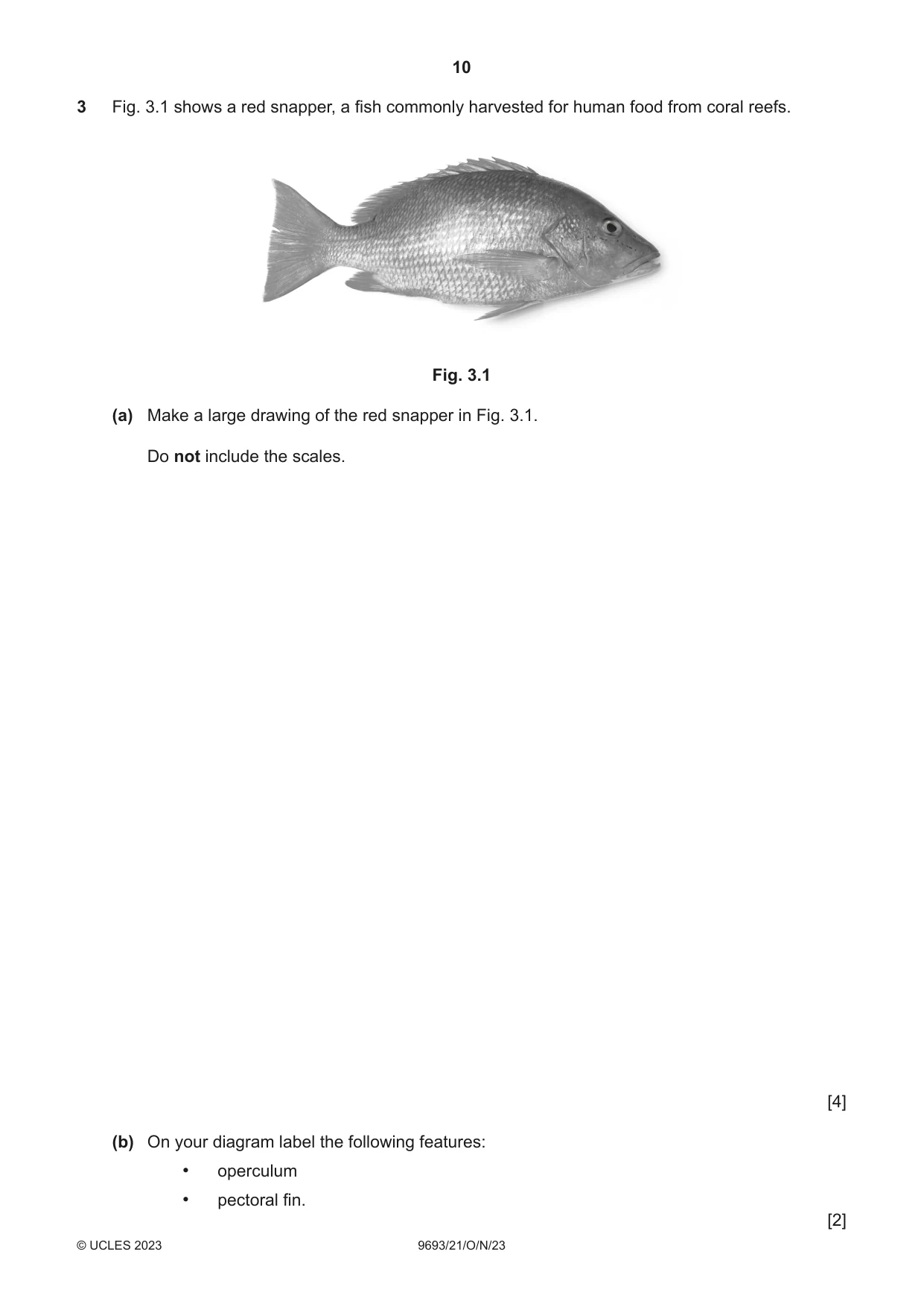 Cambridge A Level Marine Science 9693 2023 Oct/Nov Paper 2 · Variant 1 question paper, page 10 of 16