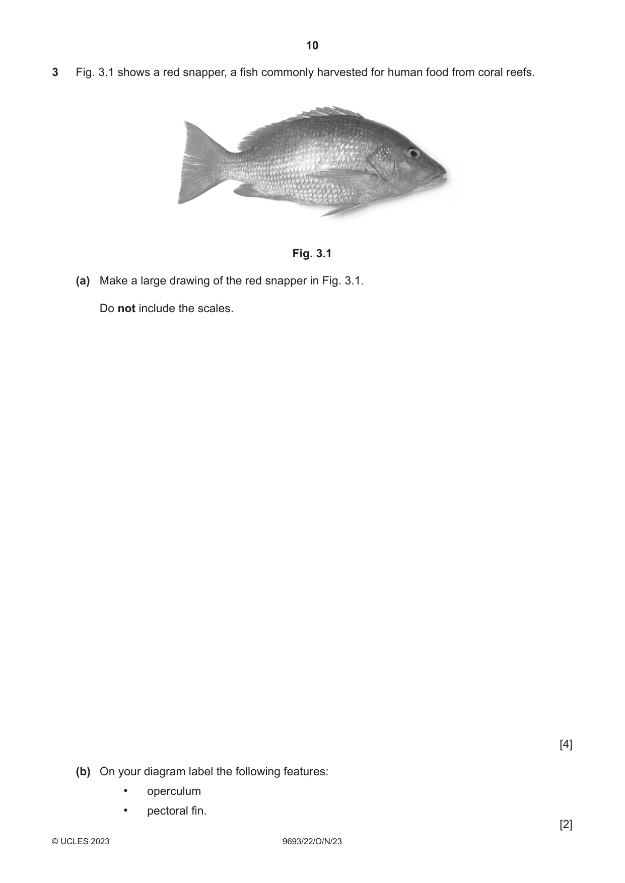 Cambridge A Level Marine Science 9693 2023 Oct/Nov Paper 2 · Variant 2 question paper, page 10 of 16