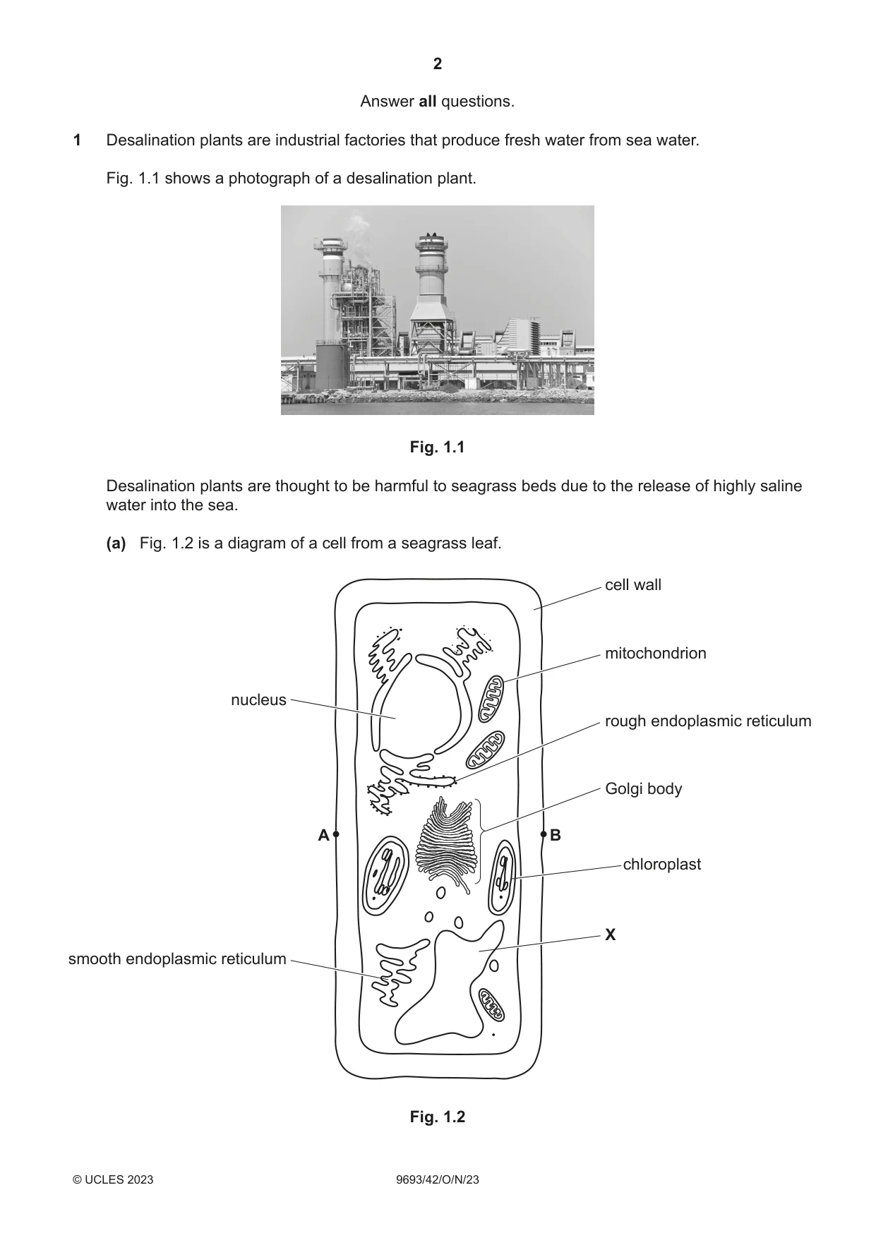 Cambridge A Level Marine Science 9693 2023 Oct/Nov Paper 4 · Variant 2 question paper, page 2 of 20