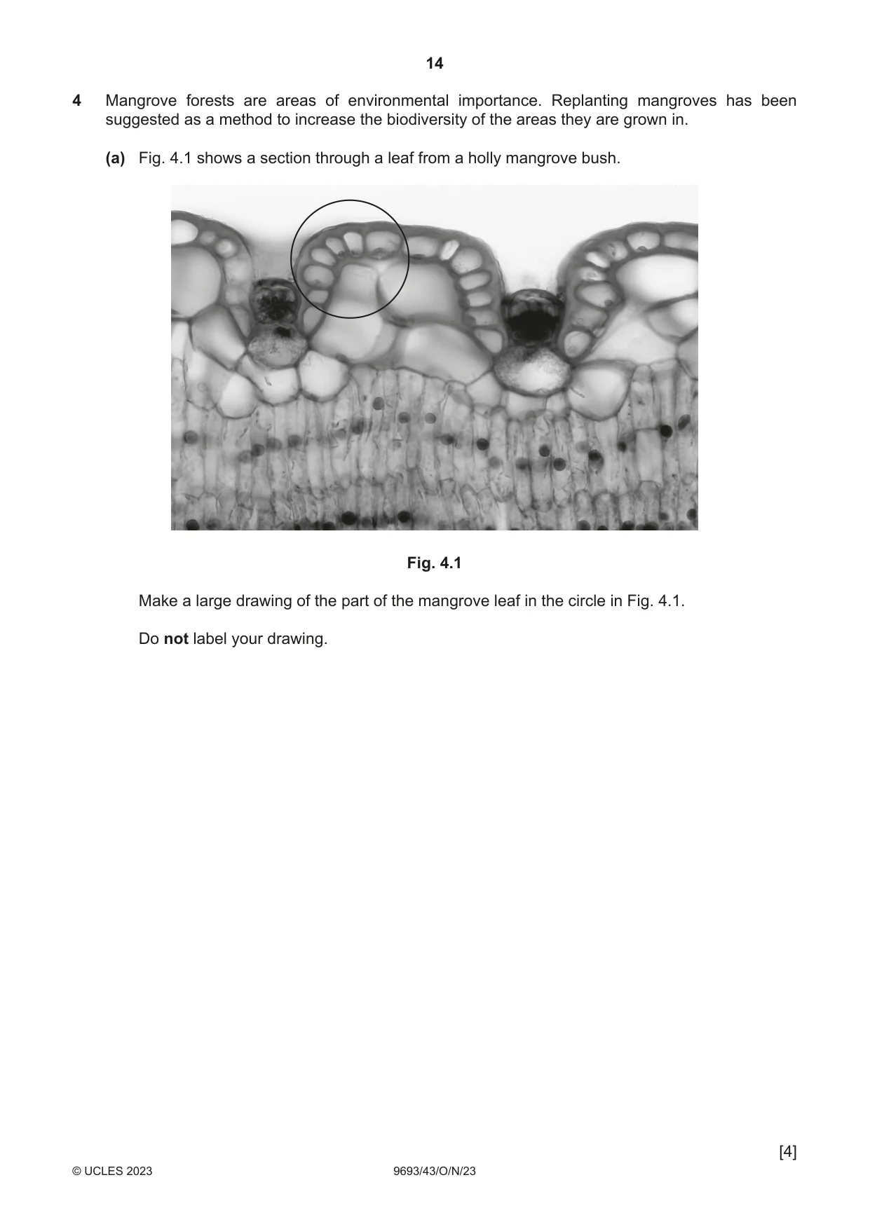 Cambridge A Level Marine Science 9693 2023 Oct/Nov Paper 4 · Variant 3 question paper, page 14 of 20