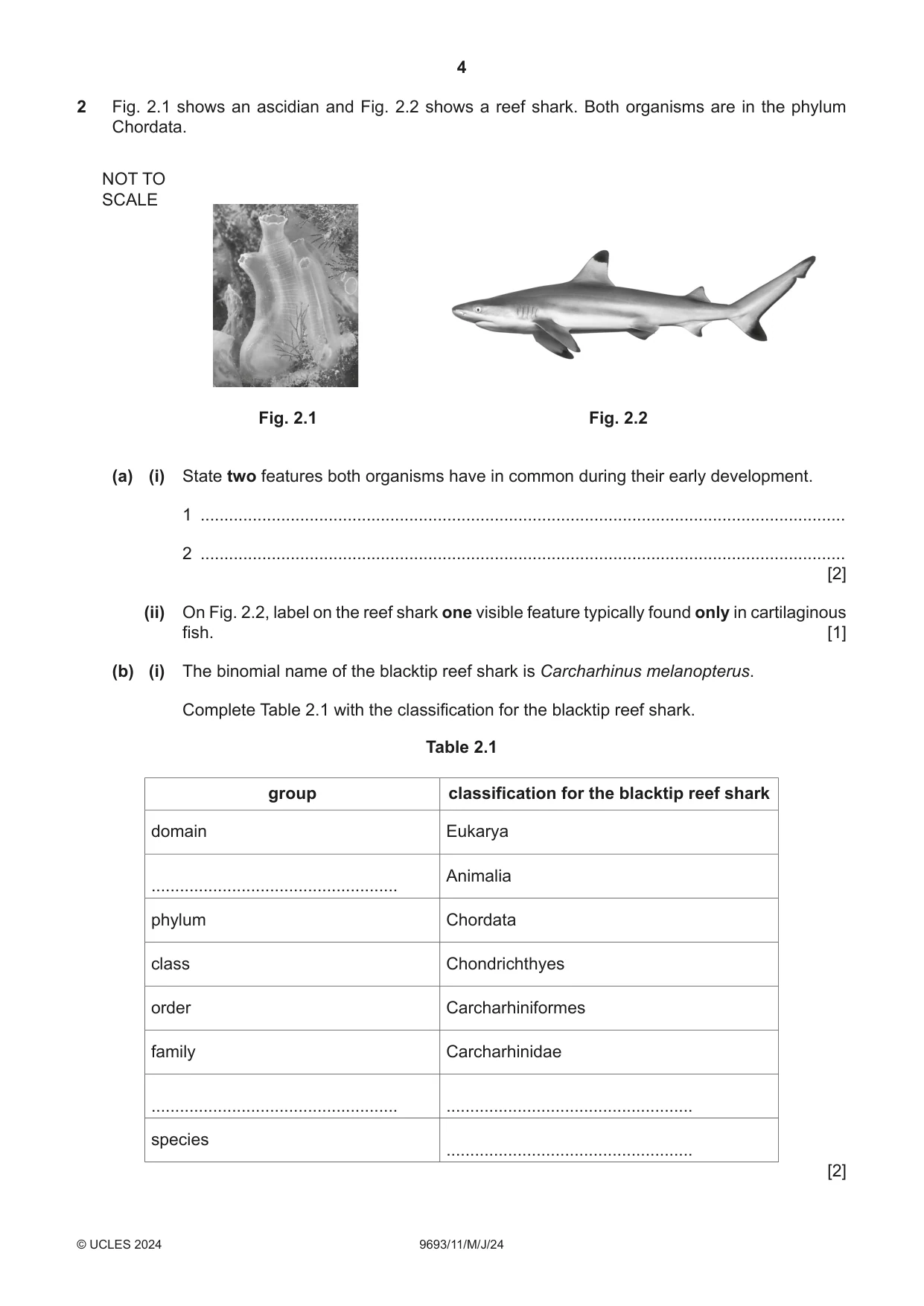 Cambridge A Level Marine Science 9693 2024 May/June Paper 1 · Variant 1 question paper, page 4 of 16