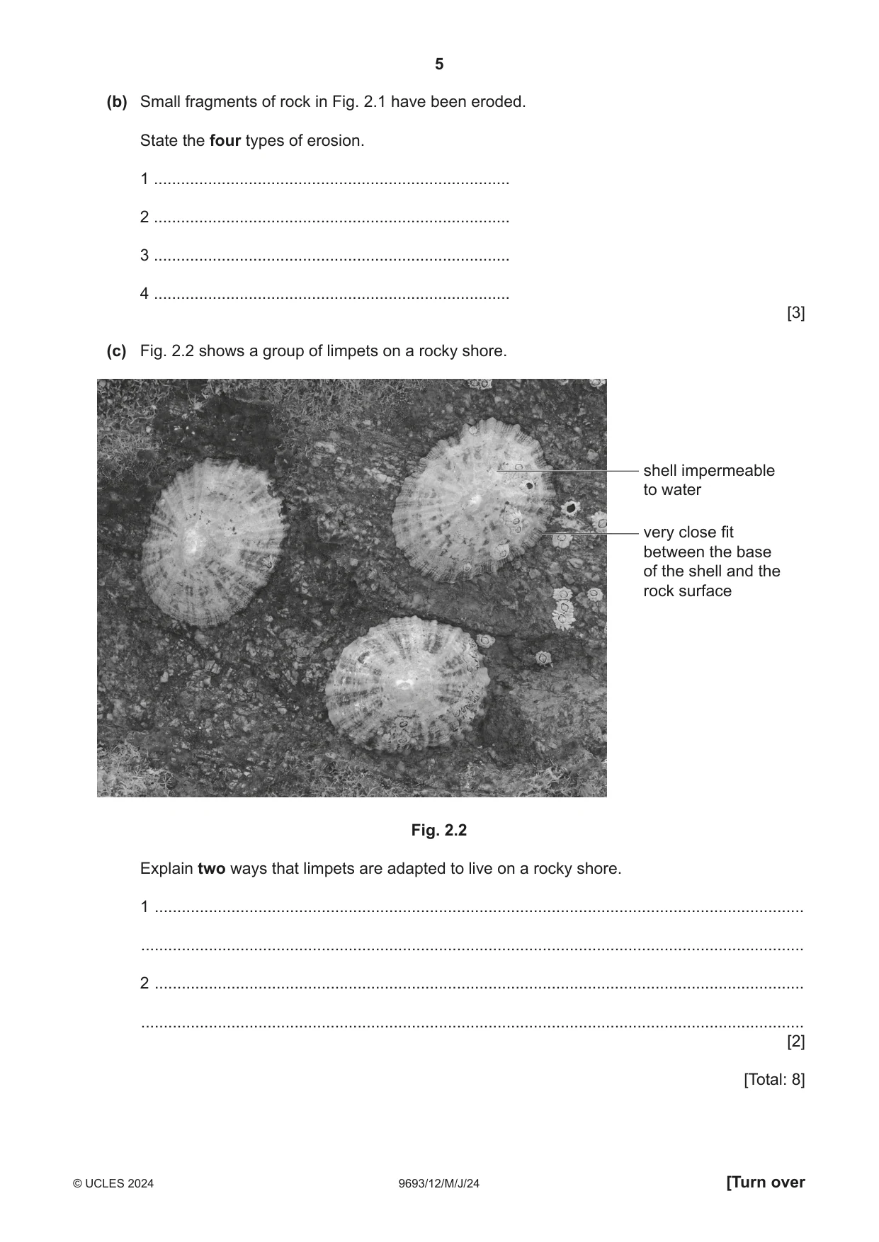 Cambridge A Level Marine Science 9693 2024 May/June Paper 1 · Variant 2 question paper, page 5 of 16