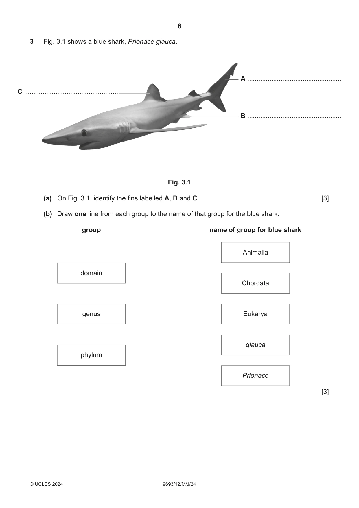 Cambridge A Level Marine Science 9693 2024 May/June Paper 1 · Variant 2 question paper, page 6 of 16