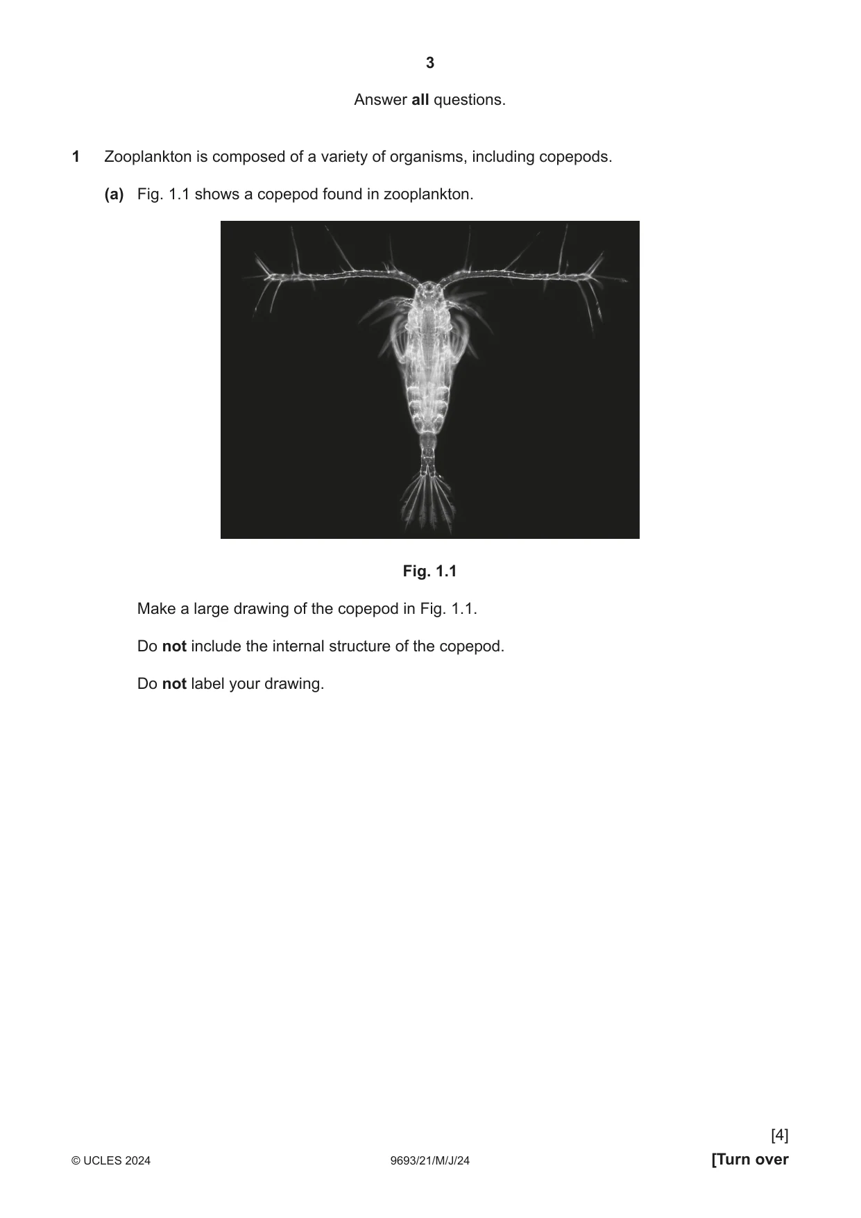 Cambridge A Level Marine Science 9693 2024 May/June Paper 2 · Variant 1 question paper, page 3 of 28