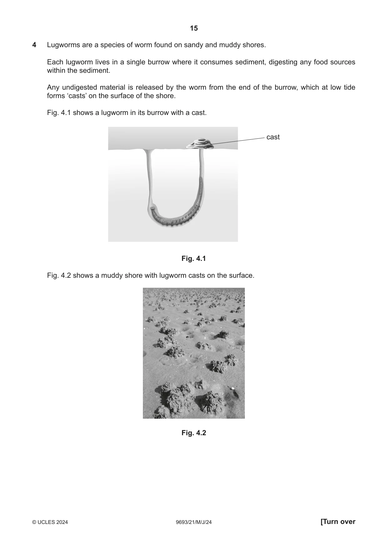 Cambridge A Level Marine Science 9693 2024 May/June Paper 2 · Variant 1 question paper, page 15 of 28