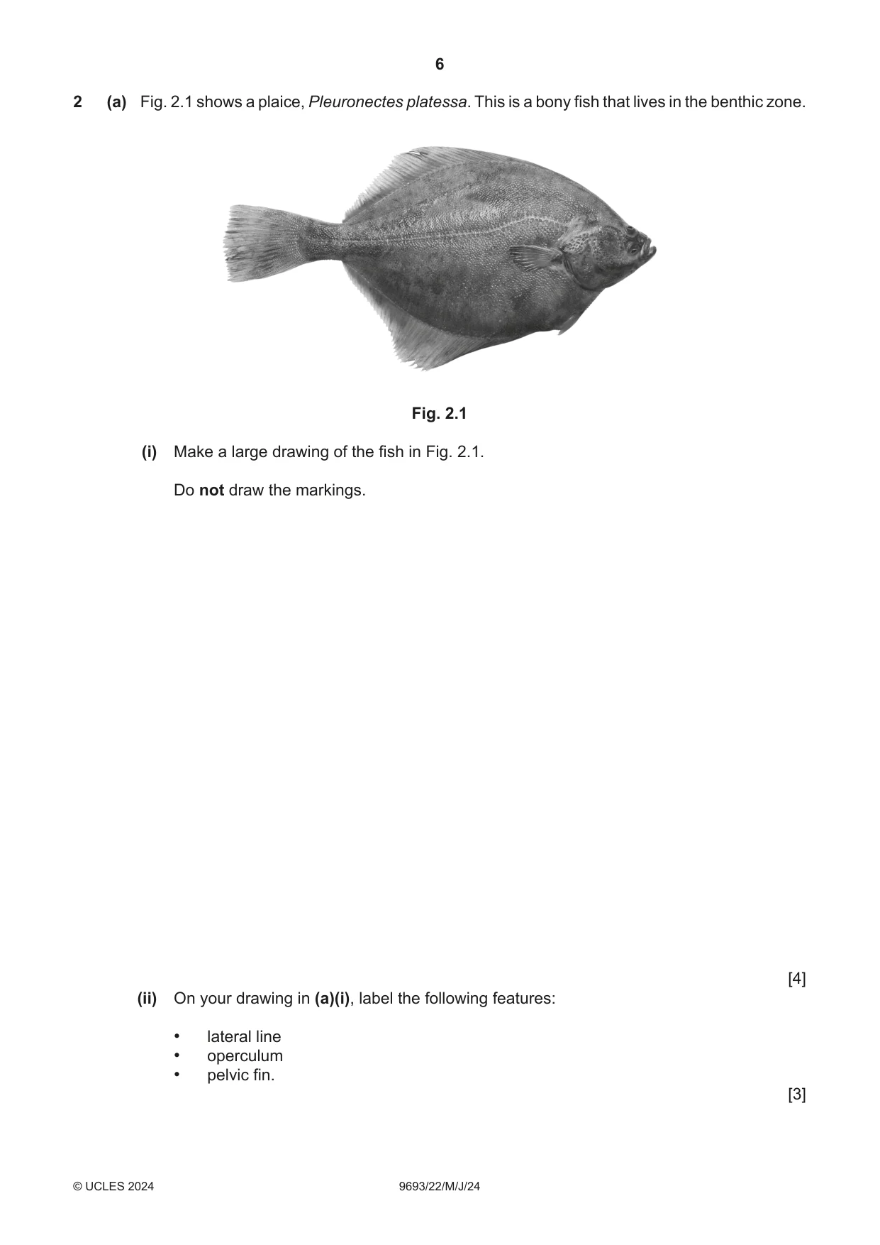 Cambridge A Level Marine Science 9693 2024 May/June Paper 2 · Variant 2 question paper, page 6 of 20