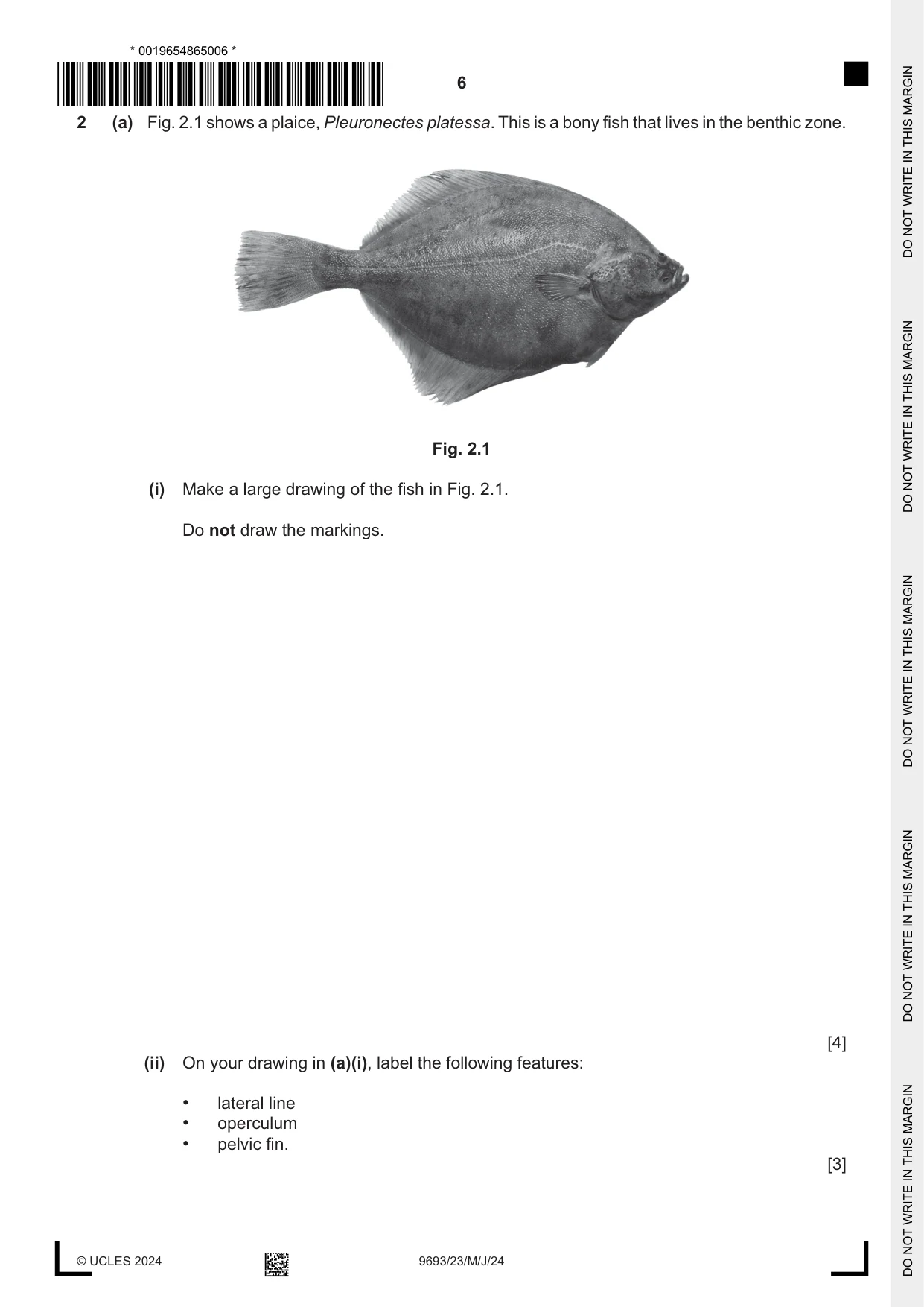 Cambridge A Level Marine Science 9693 2024 May/June Paper 2 · Variant 3 question paper, page 6 of 20