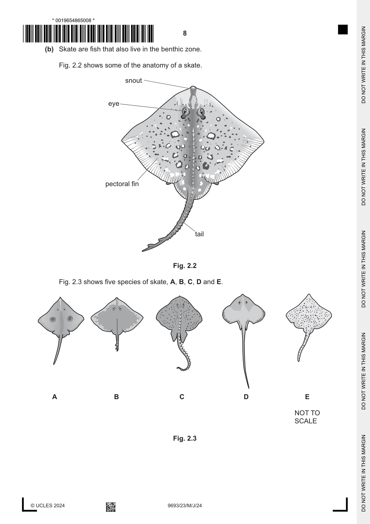 Cambridge A Level Marine Science 9693 2024 May/June Paper 2 · Variant 3 question paper, page 8 of 20