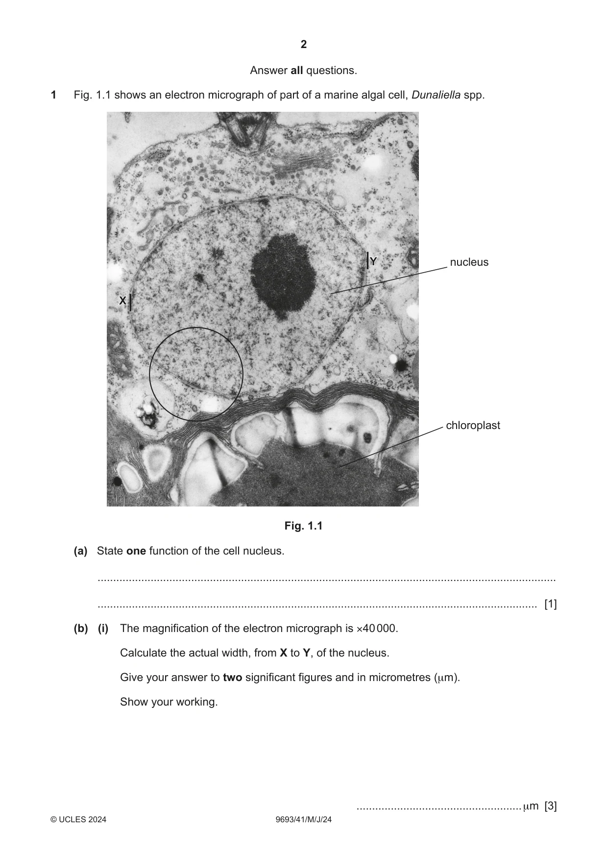 Cambridge A Level Marine Science 9693 2024 May/June Paper 4 · Variant 1 question paper, page 2 of 24