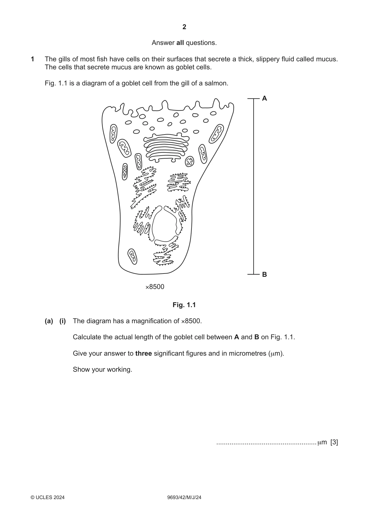Cambridge A Level Marine Science 9693 2024 May/June Paper 4 · Variant 2 question paper, page 2 of 20