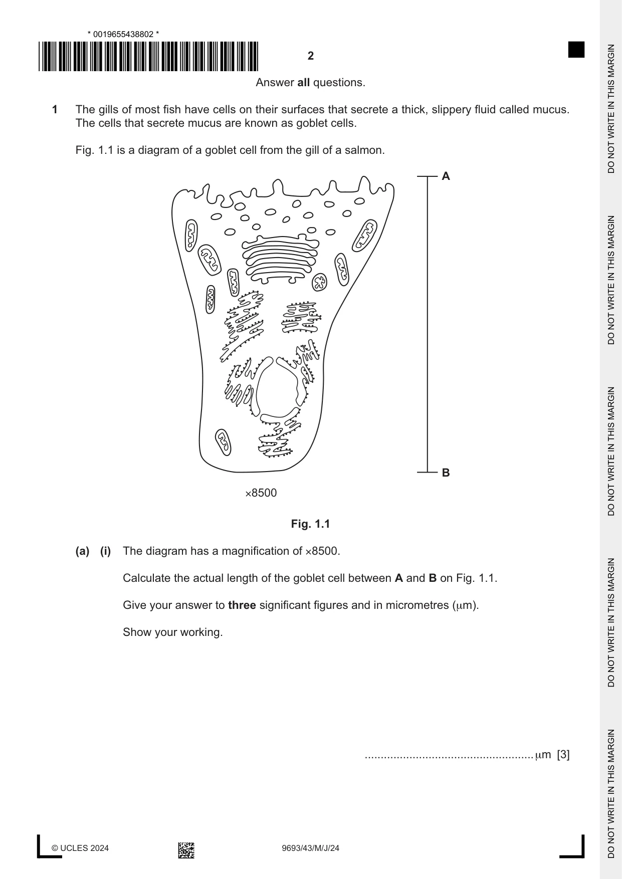 Cambridge A Level Marine Science 9693 2024 May/June Paper 4 · Variant 3 question paper, page 2 of 20