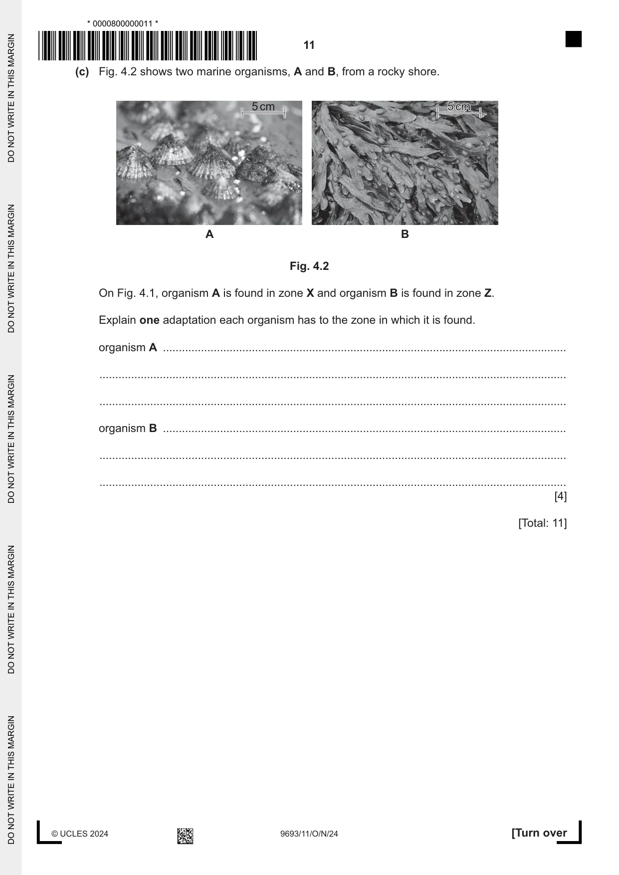 Cambridge A Level Marine Science 9693 2024 Oct/Nov Paper 1 · Variant 1 question paper, page 11 of 16
