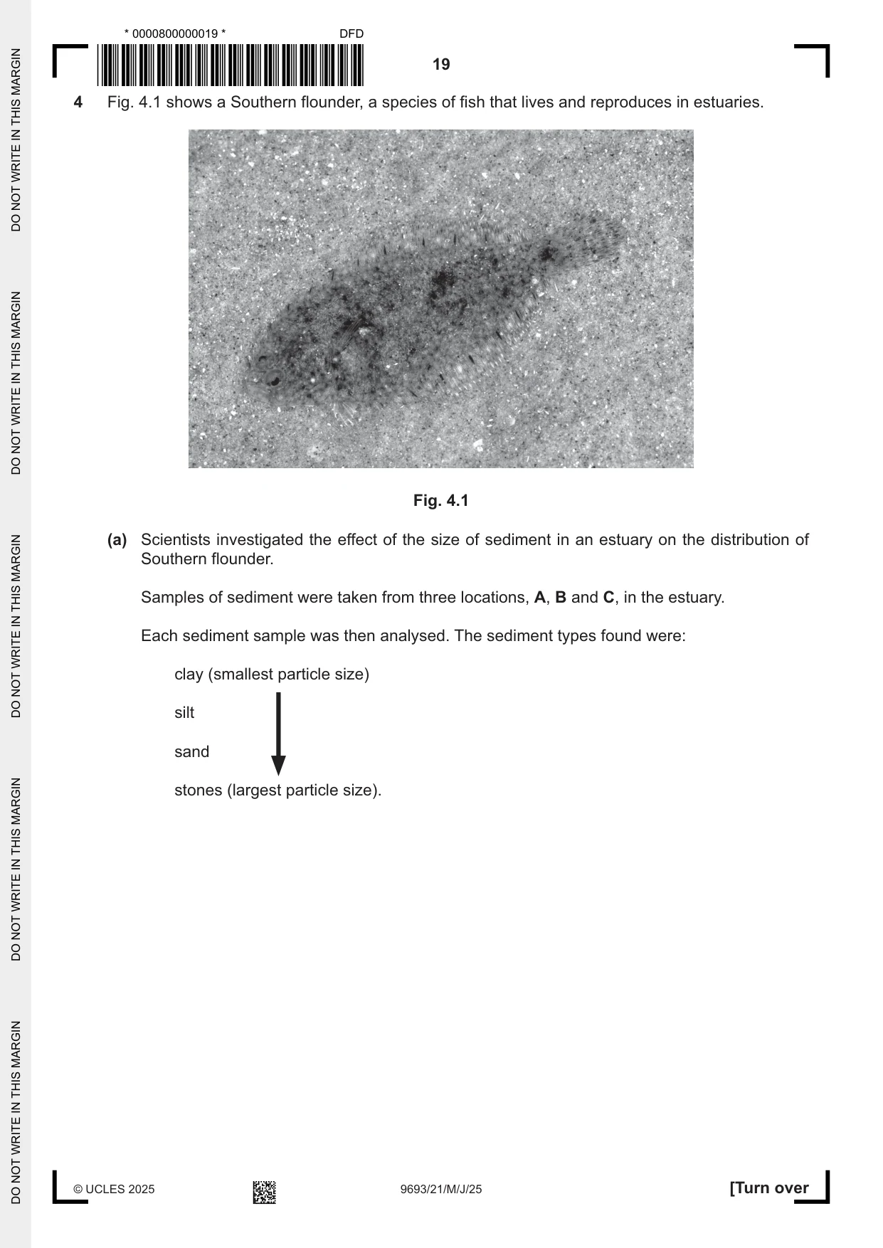 Cambridge A Level Marine Science 9693 2025 May/June Paper 2 · Variant 1 question paper, page 19 of 28
