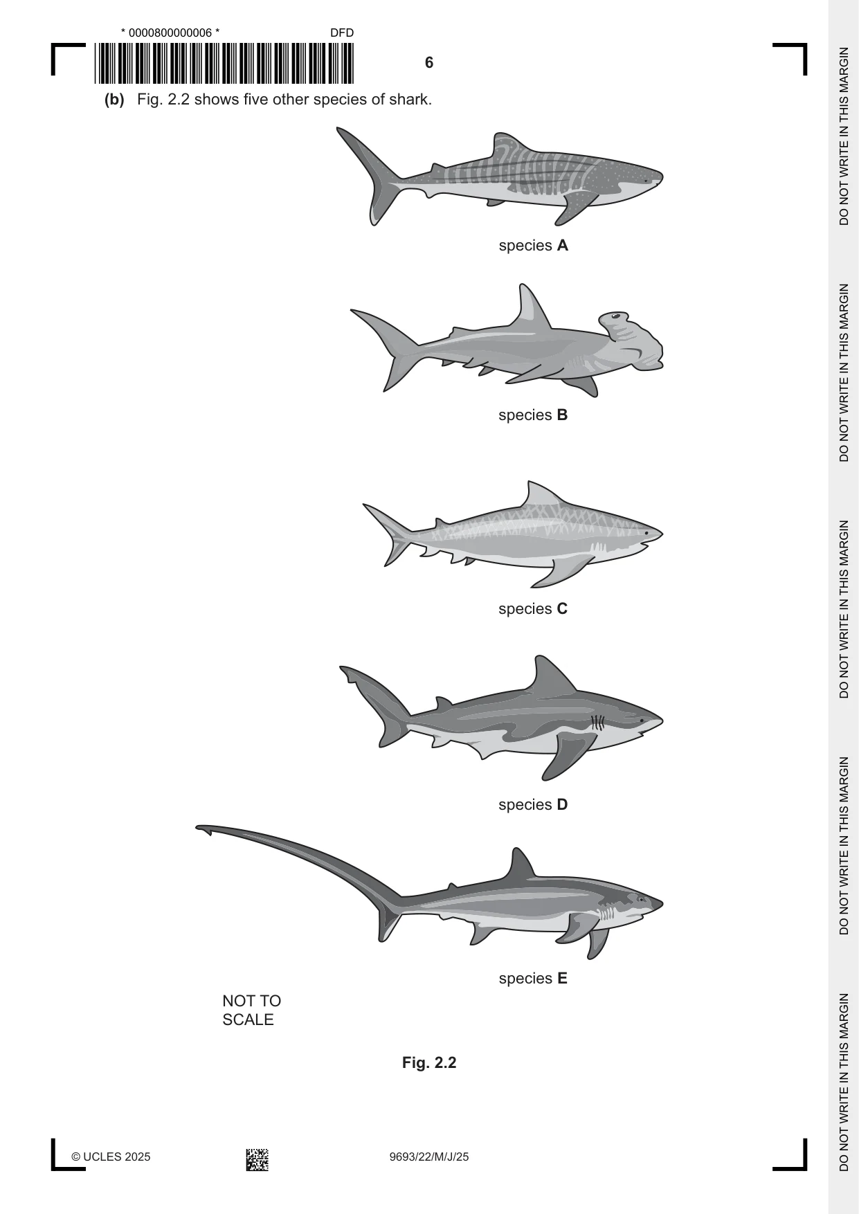 Cambridge A Level Marine Science 9693 2025 May/June Paper 2 · Variant 2 question paper, page 6 of 20