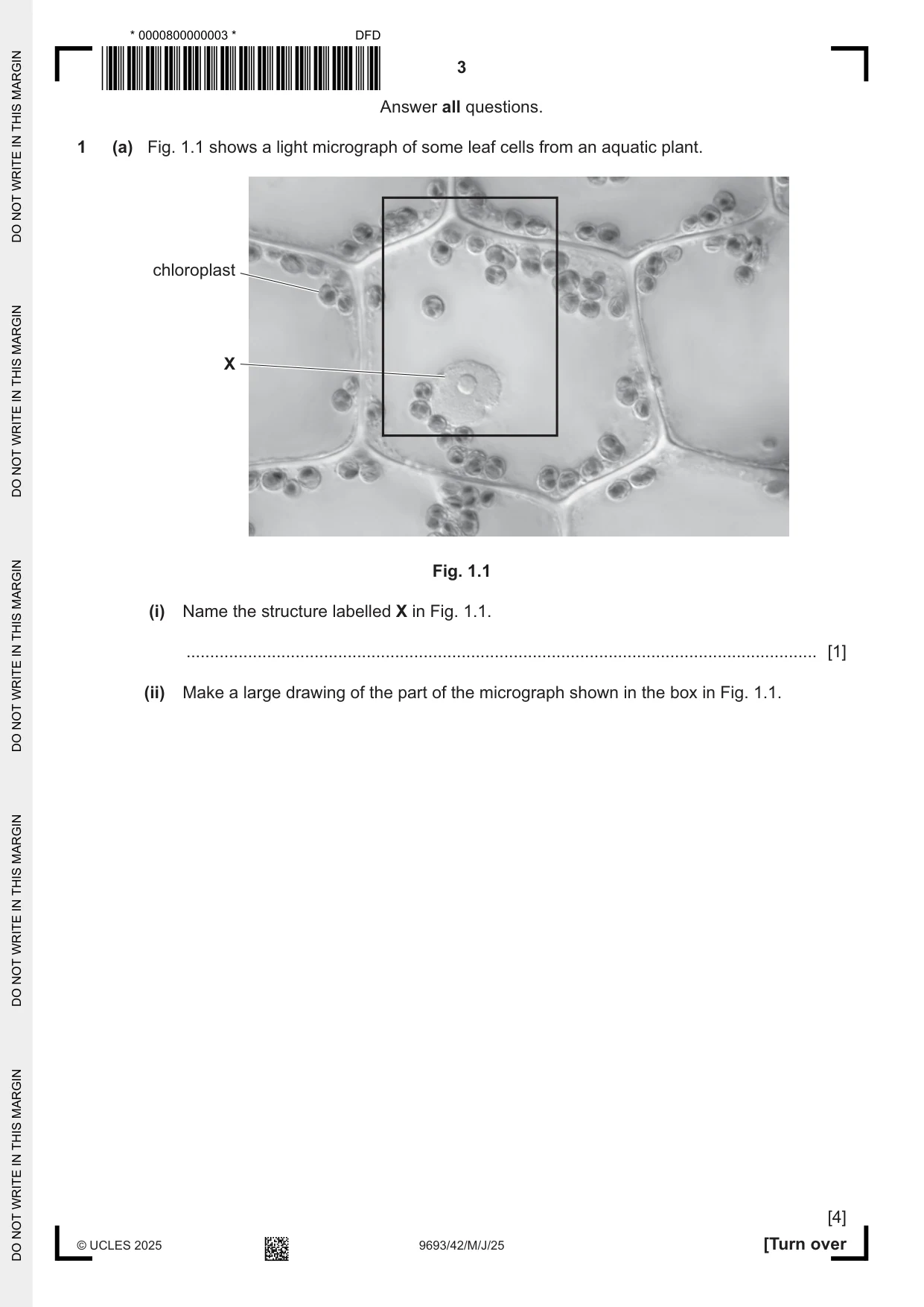 Cambridge A Level Marine Science 9693 2025 May/June Paper 4 · Variant 2 question paper, page 3 of 24