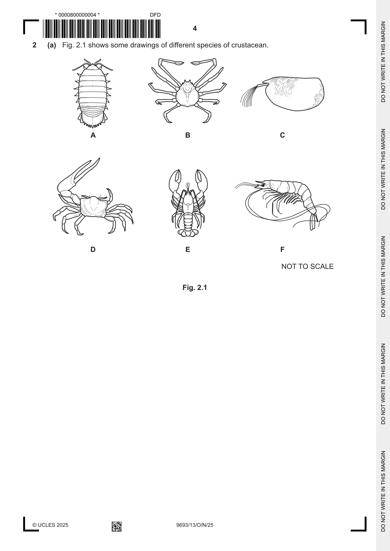 Cambridge A Level Marine Science 9693 2025 Oct/Nov Paper 1 · Variant 3 question paper, page 4 of 16