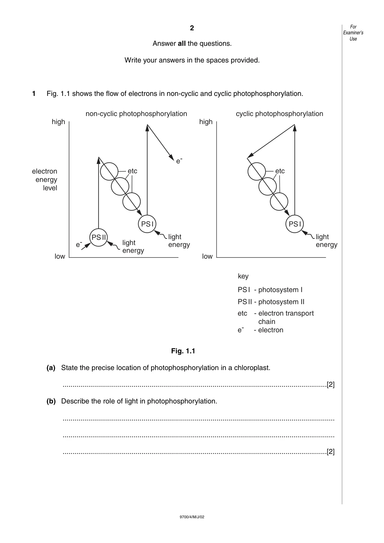 Cambridge A Level Biology 9700 2002 May/June Paper 4 · Variant 1 question paper, page 2 of 12