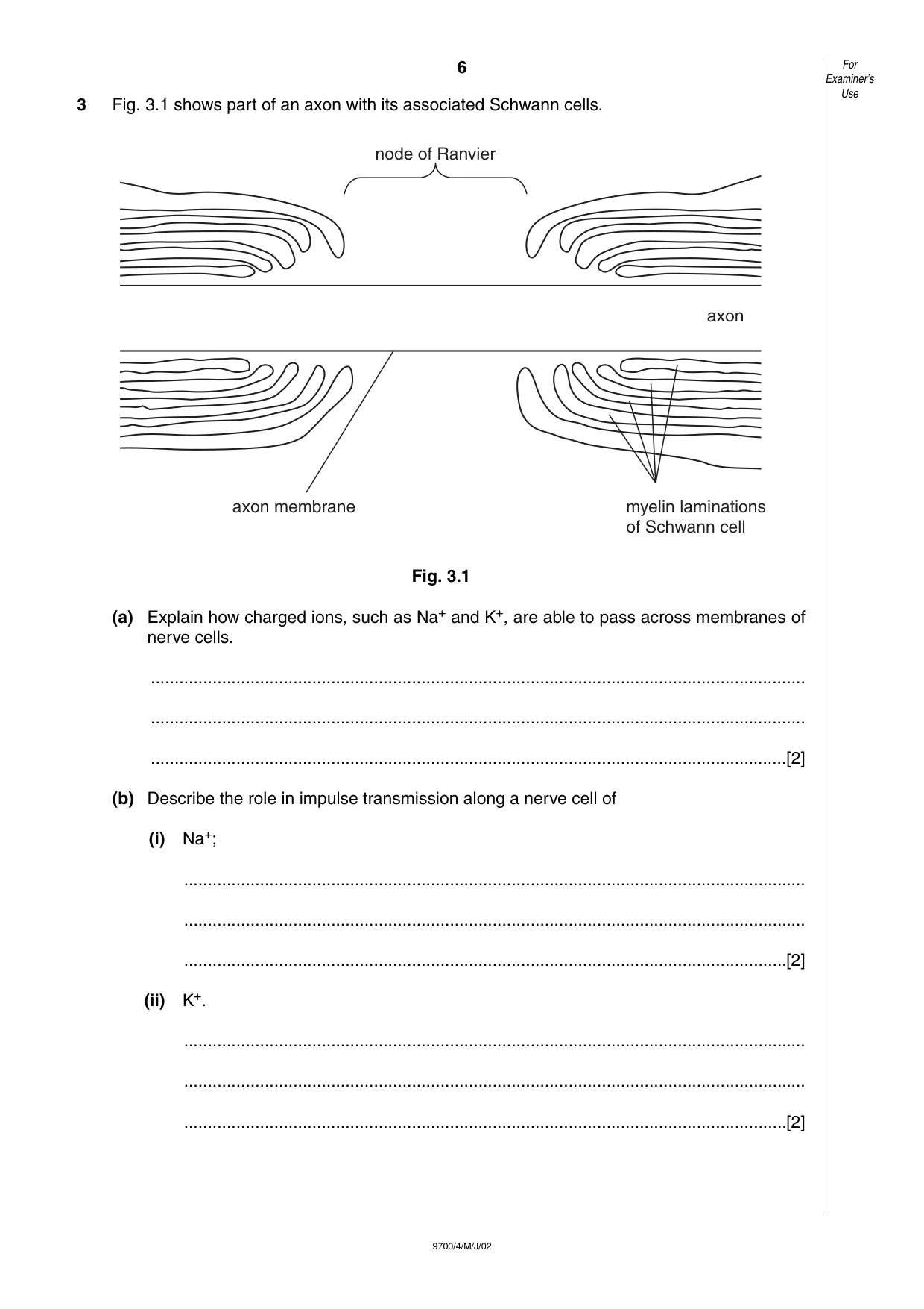 Cambridge A Level Biology 9700 2002 May/June Paper 4 · Variant 1 question paper, page 6 of 12
