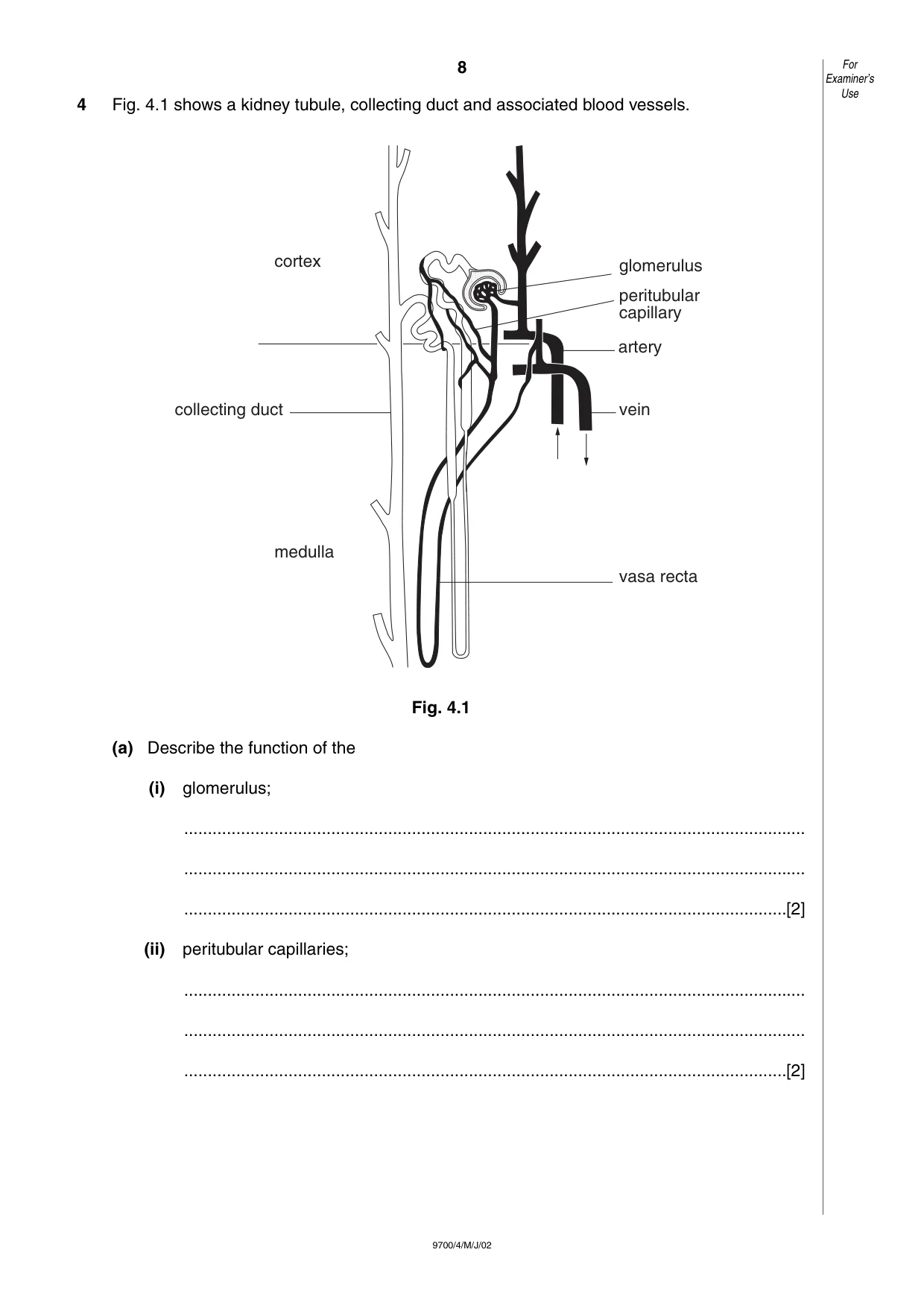 Cambridge A Level Biology 9700 2002 May/June Paper 4 · Variant 1 question paper, page 8 of 12