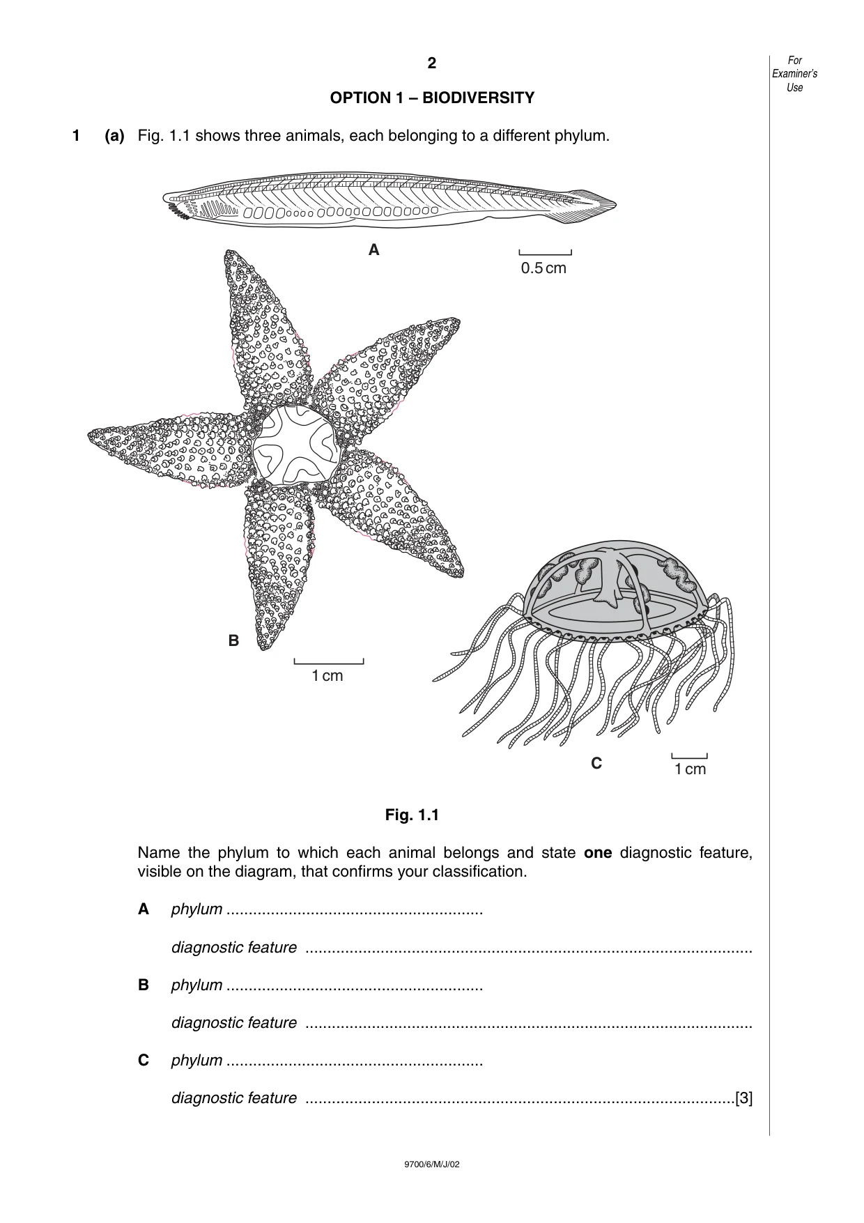 Cambridge A Level Biology 9700 2002 May/June Paper 6 · Variant 1 question paper, page 2 of 24