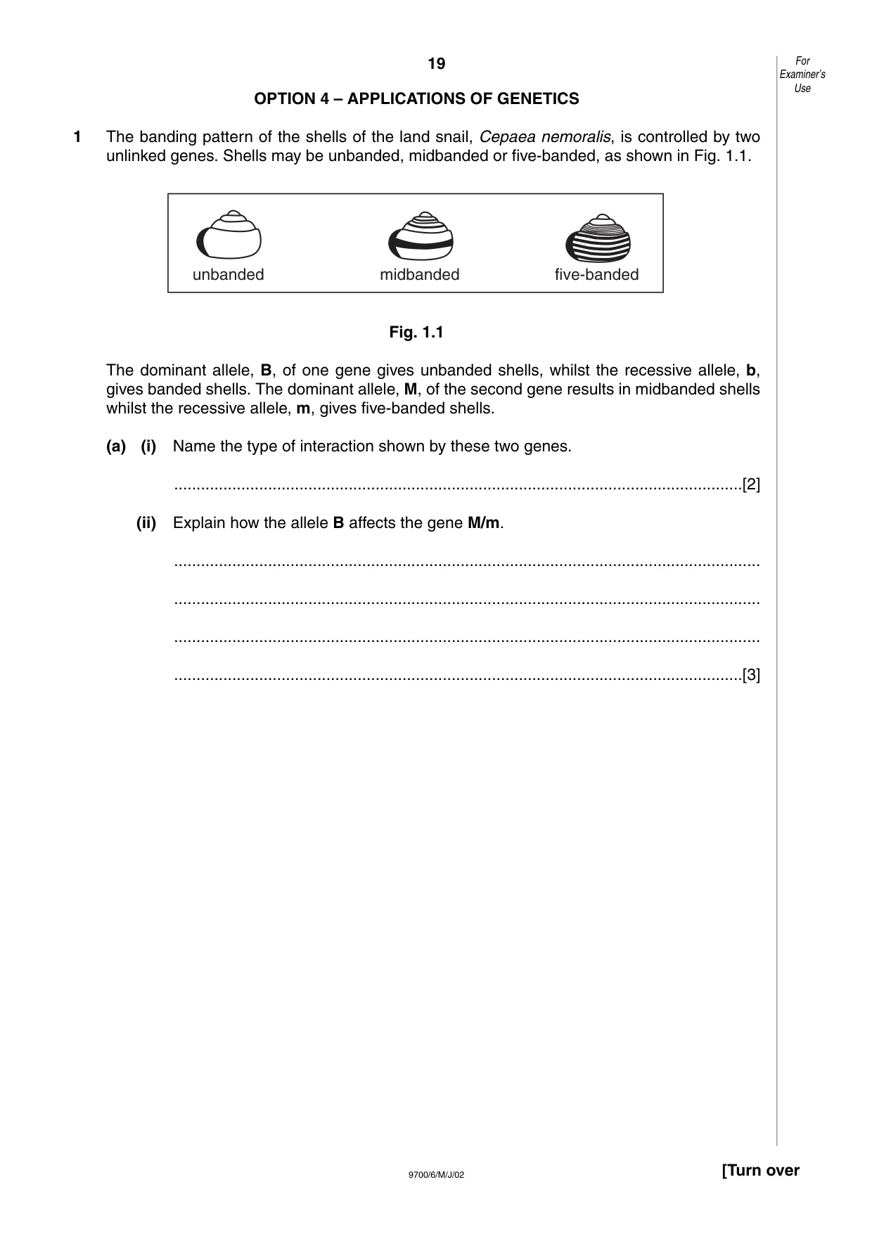 Cambridge A Level Biology 9700 2002 May/June Paper 6 · Variant 1 question paper, page 19 of 24