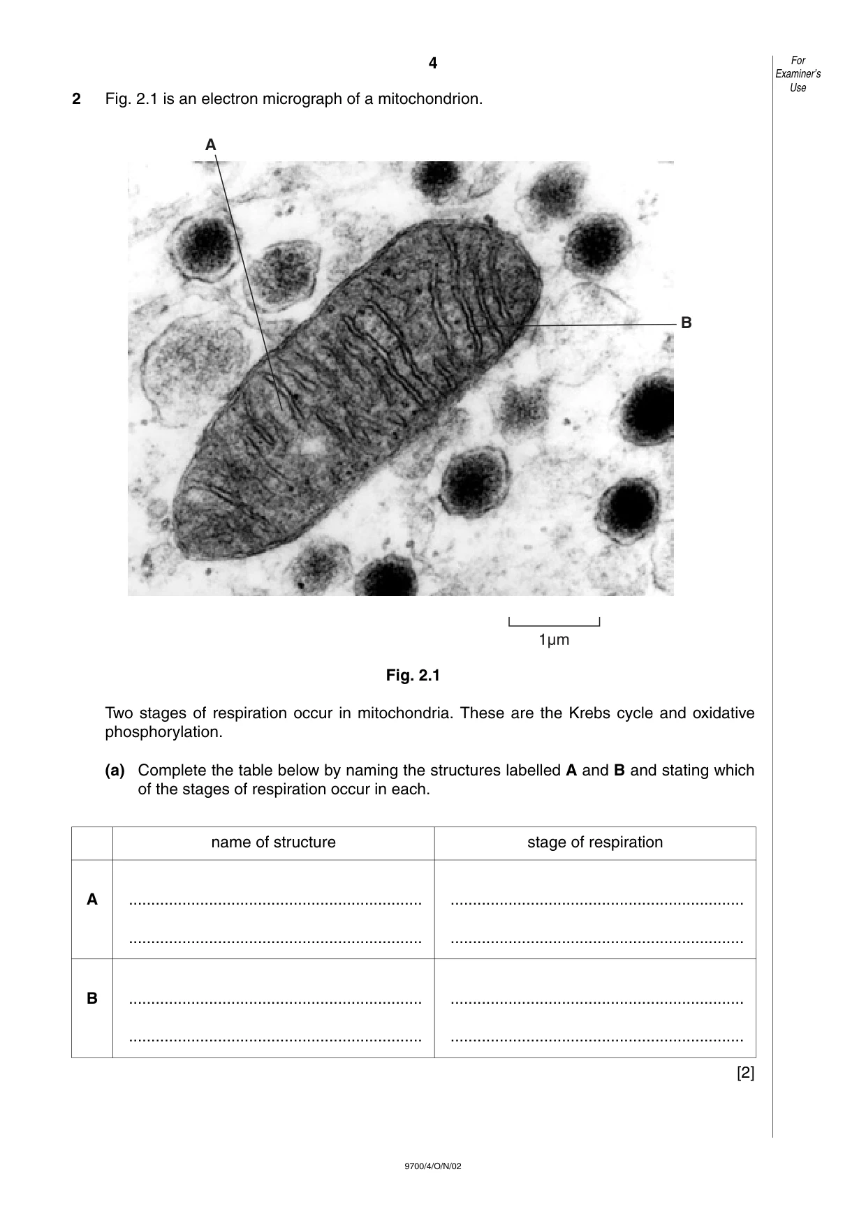 Cambridge A Level Biology 9700 2002 Oct/Nov Paper 4 · Variant 1 question paper, page 4 of 12
