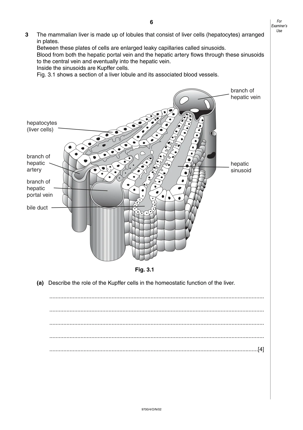 Cambridge A Level Biology 9700 2002 Oct/Nov Paper 4 · Variant 1 question paper, page 6 of 12