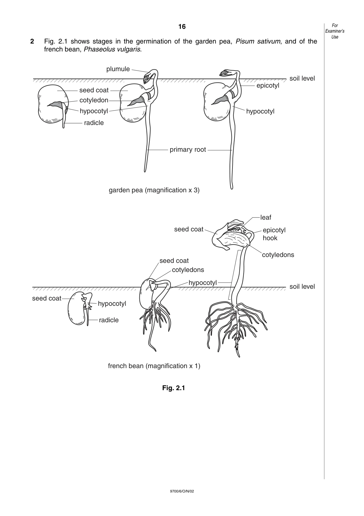 Cambridge A Level Biology 9700 2002 Oct/Nov Paper 6 · Variant 1 question paper, page 16 of 24